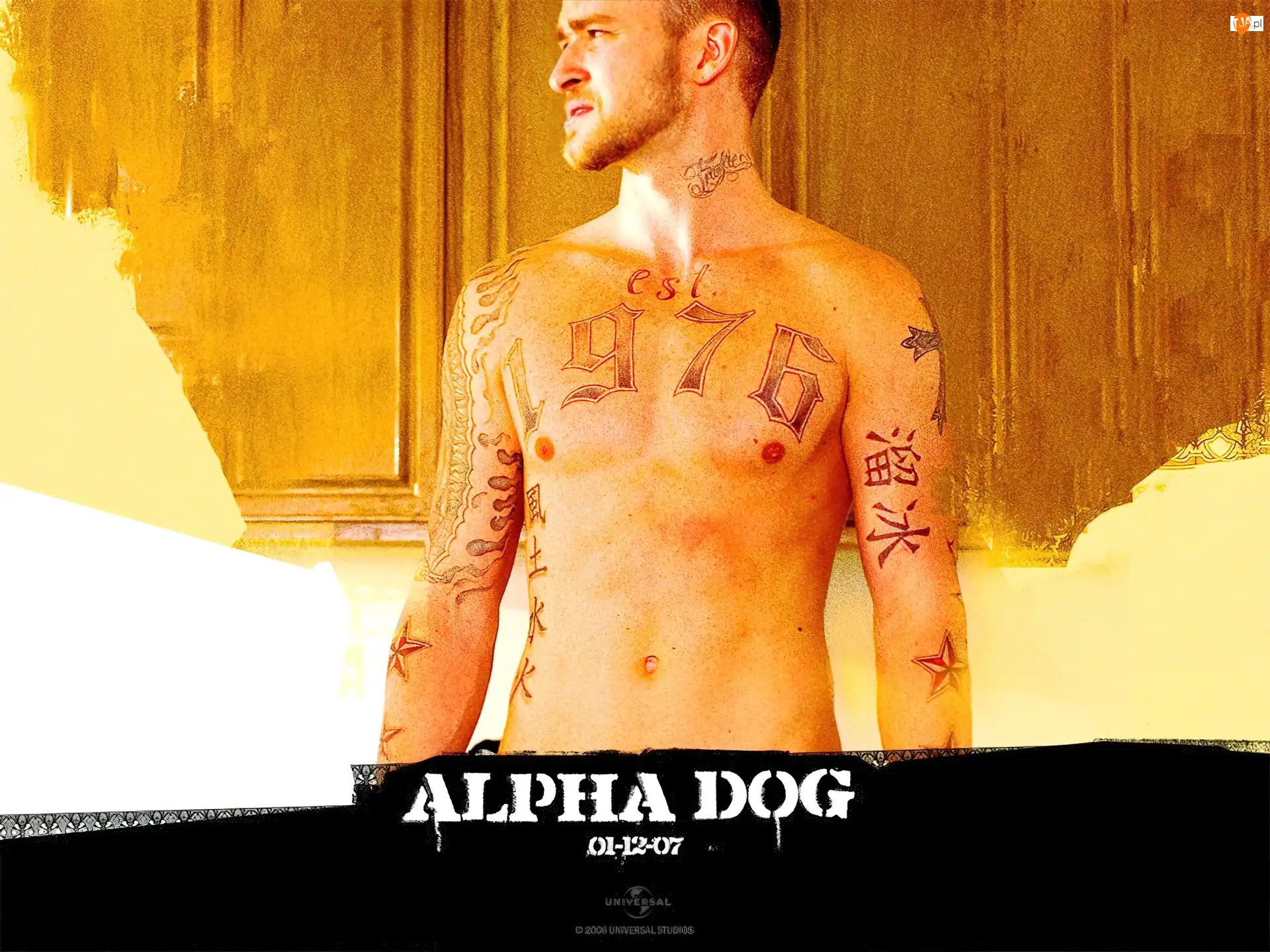 Alpha Dog, Justin Timberlake