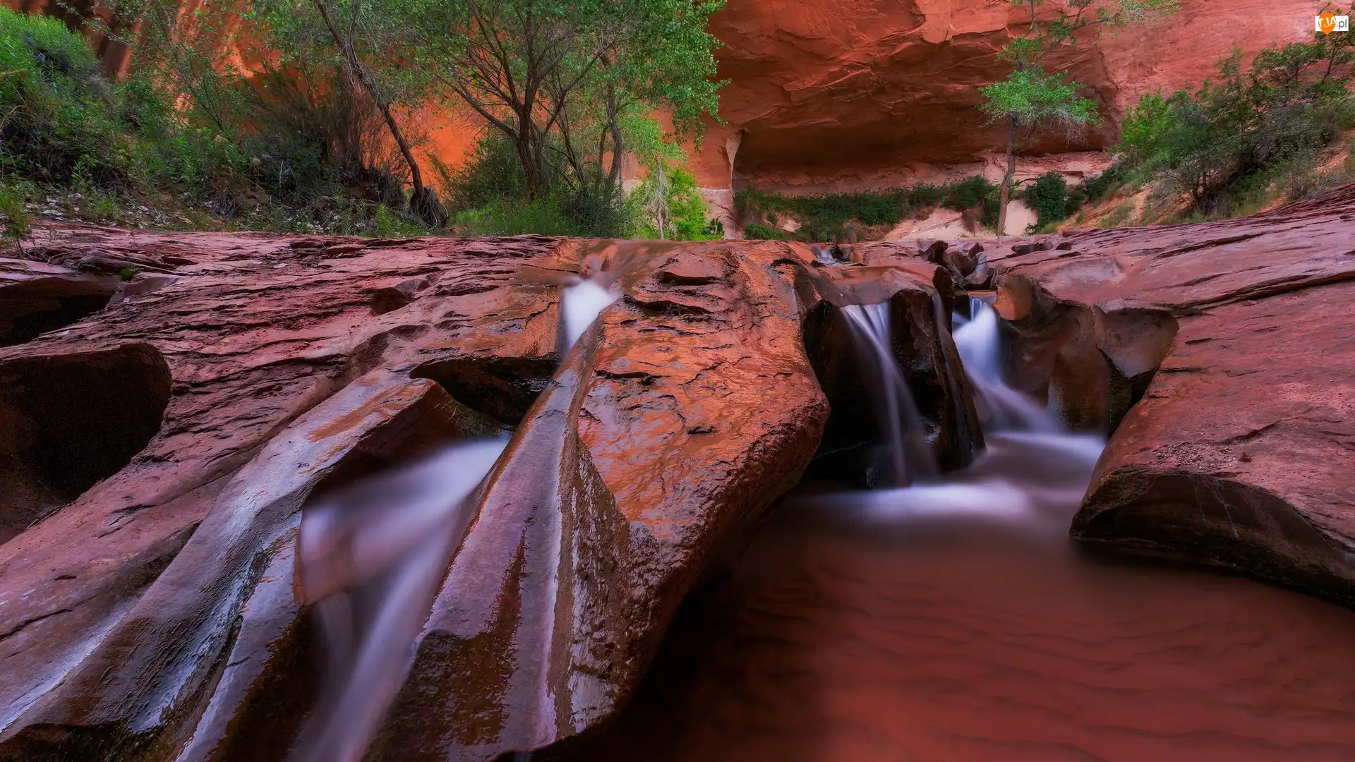 Rzeka, Skały, Krzewy, Stany Zjednoczone, Coyote Gulch, Utah