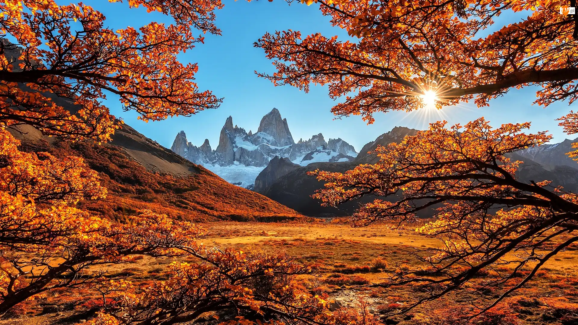 Jesień, Góry Andy, Argentyna, Drzewa, Szczyt Fitz Roy, Promienie słońca, Gałęzie, Patagonia