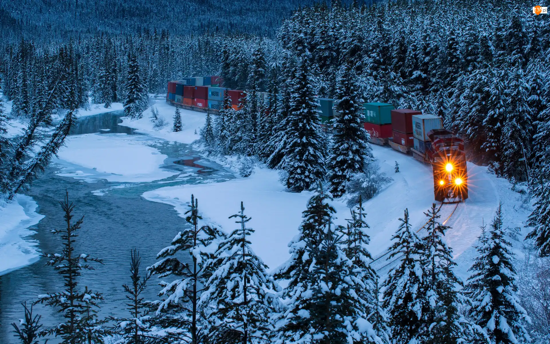 Rzeka, Pociąg, Kanada, Świerk, Las, Alberta, Bow River, Zima, Pociąg, Śnieg, Park Narodowy Banff