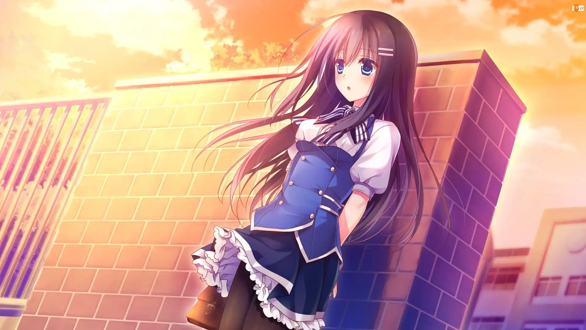 Anime, Dziewczyna, Ogrodzenie, Manga