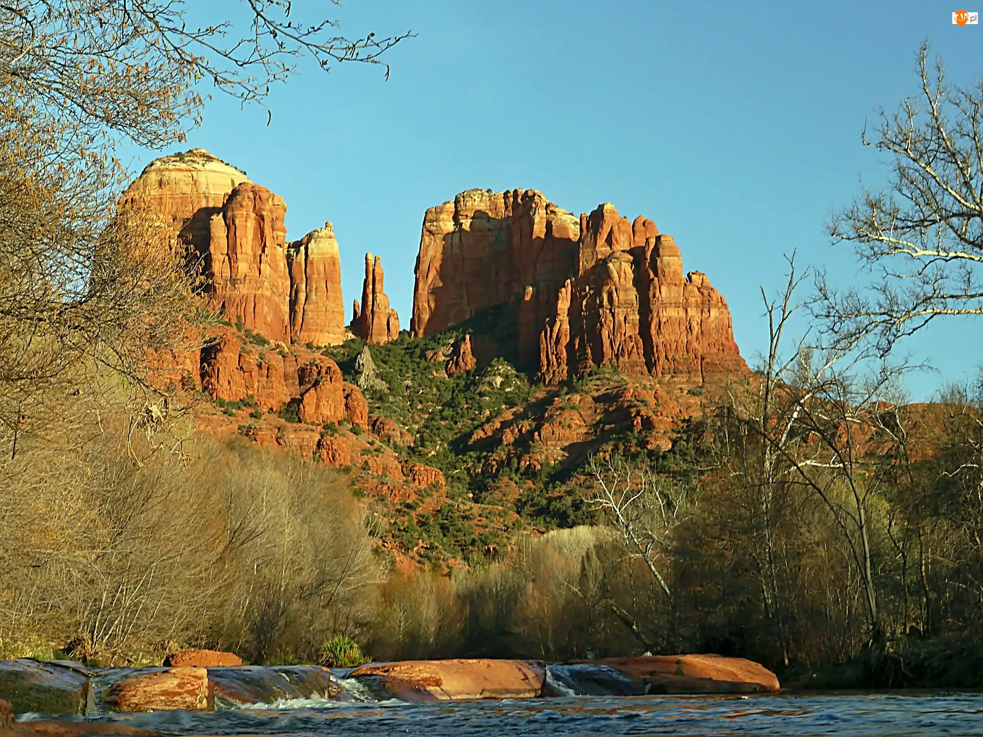 Drzewa, Skały, Rzeka, Arizona, Zarośla, Sedona