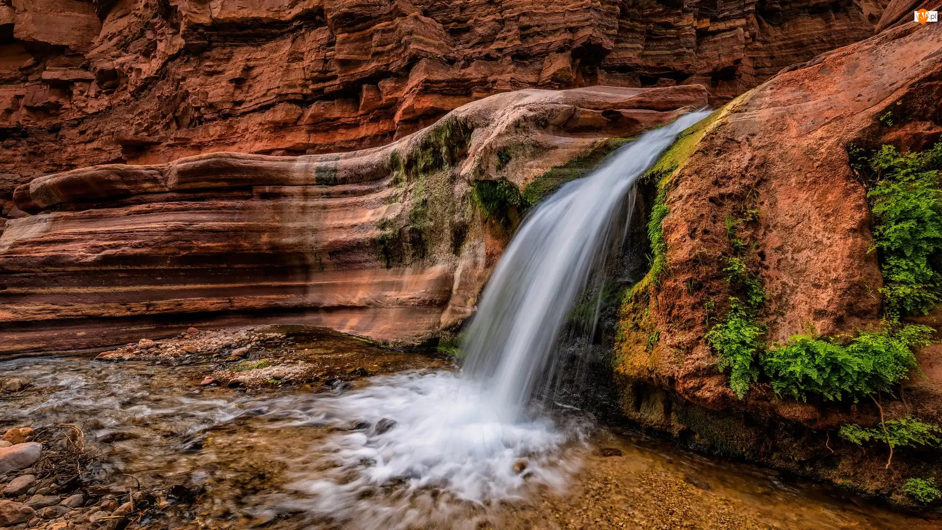 Wodospad, Upper Deer Creek Waterfall 2, Stany Zjednoczone, Skały, Arizona, Grand Canyon, Park Narodowy ielkiego Kanionu