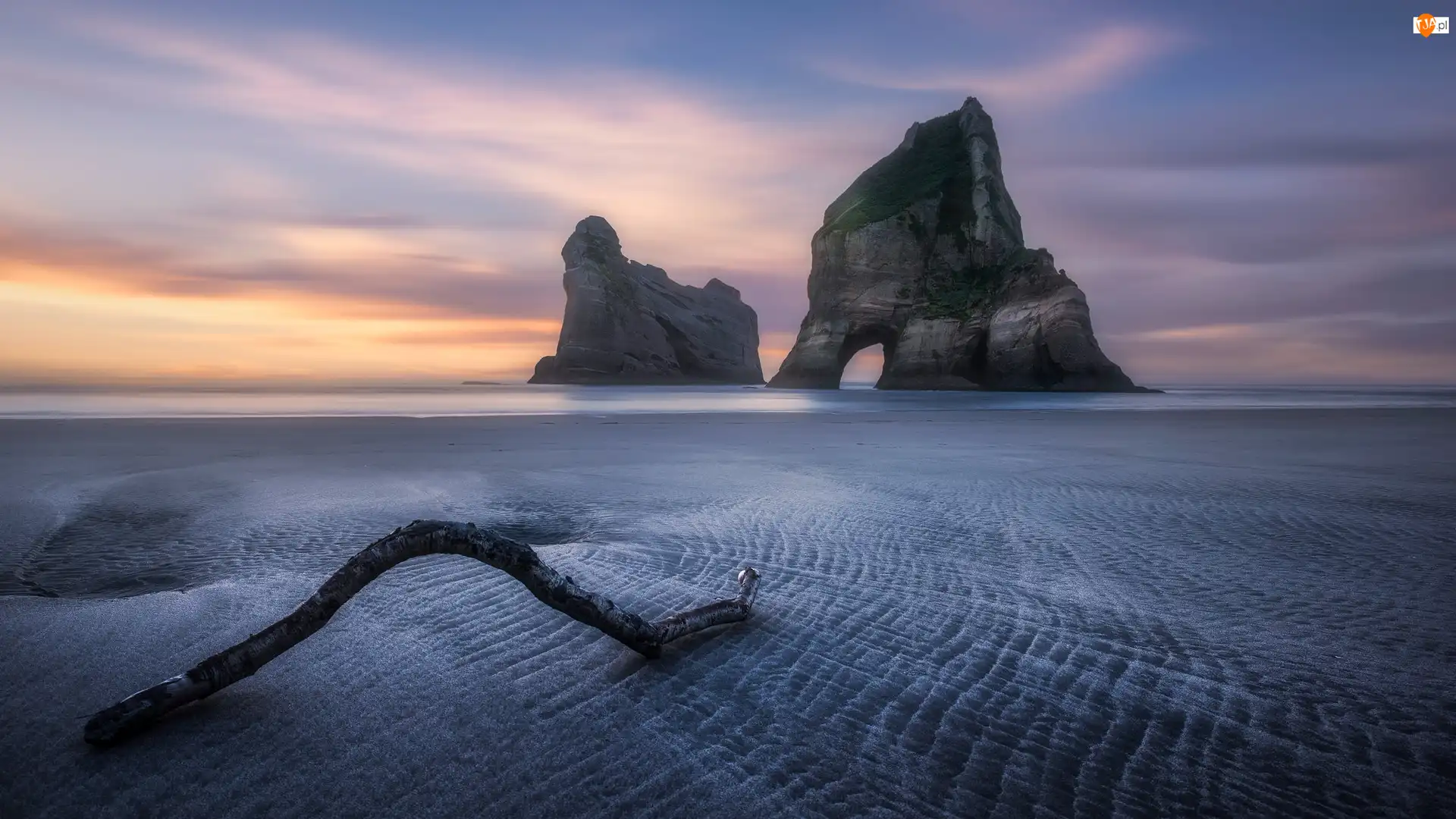 Morze Tasmana, Plaża, Konar, Nowa Zelandia, Skały, Wybrzeże, Wharariki Beach