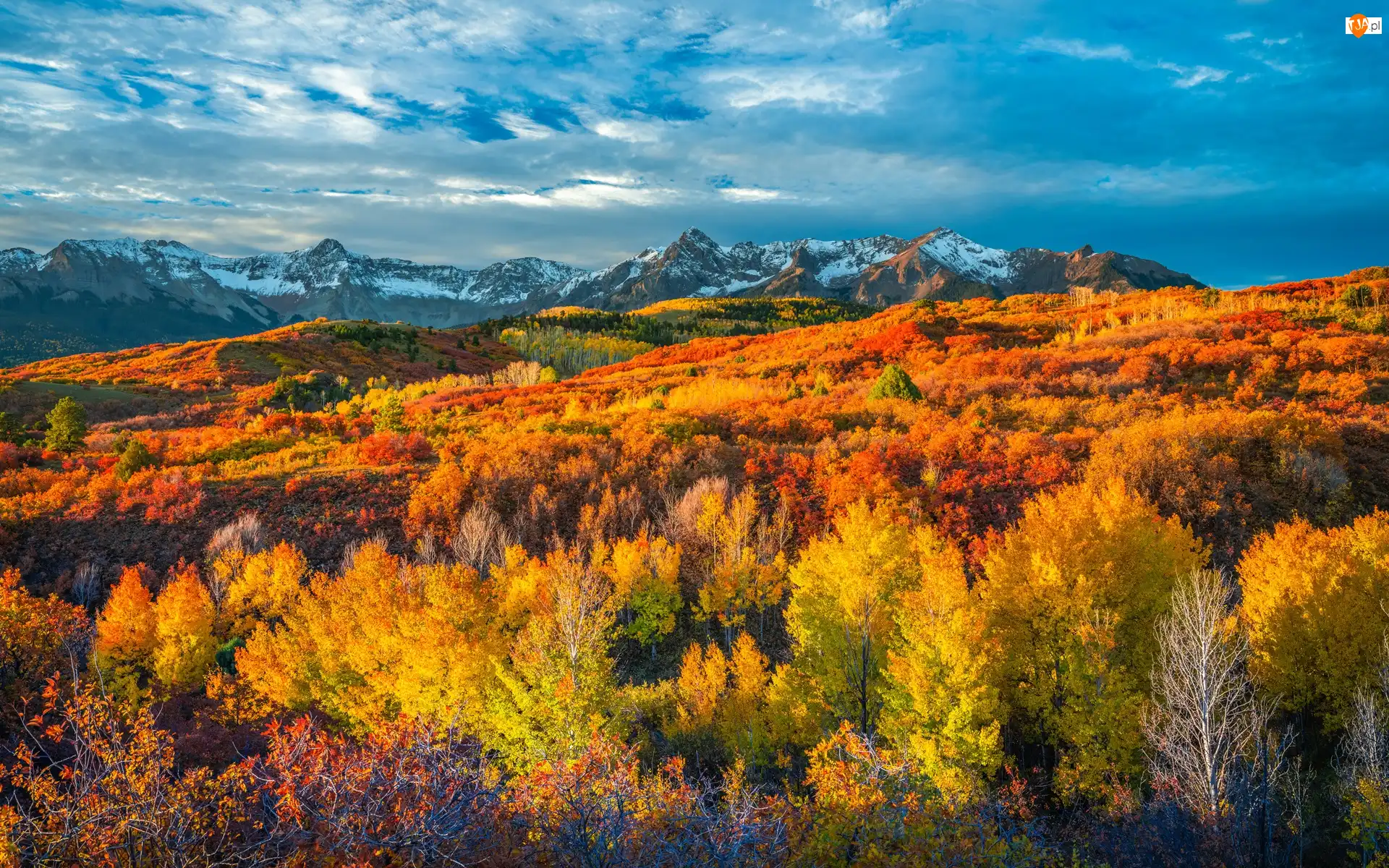 Stany Zjednoczone, Drzewa, Chmury, Lasy, San Juan Mountains, Góry, Dallas Divide, Przełęcz, Jesień, Kolorado