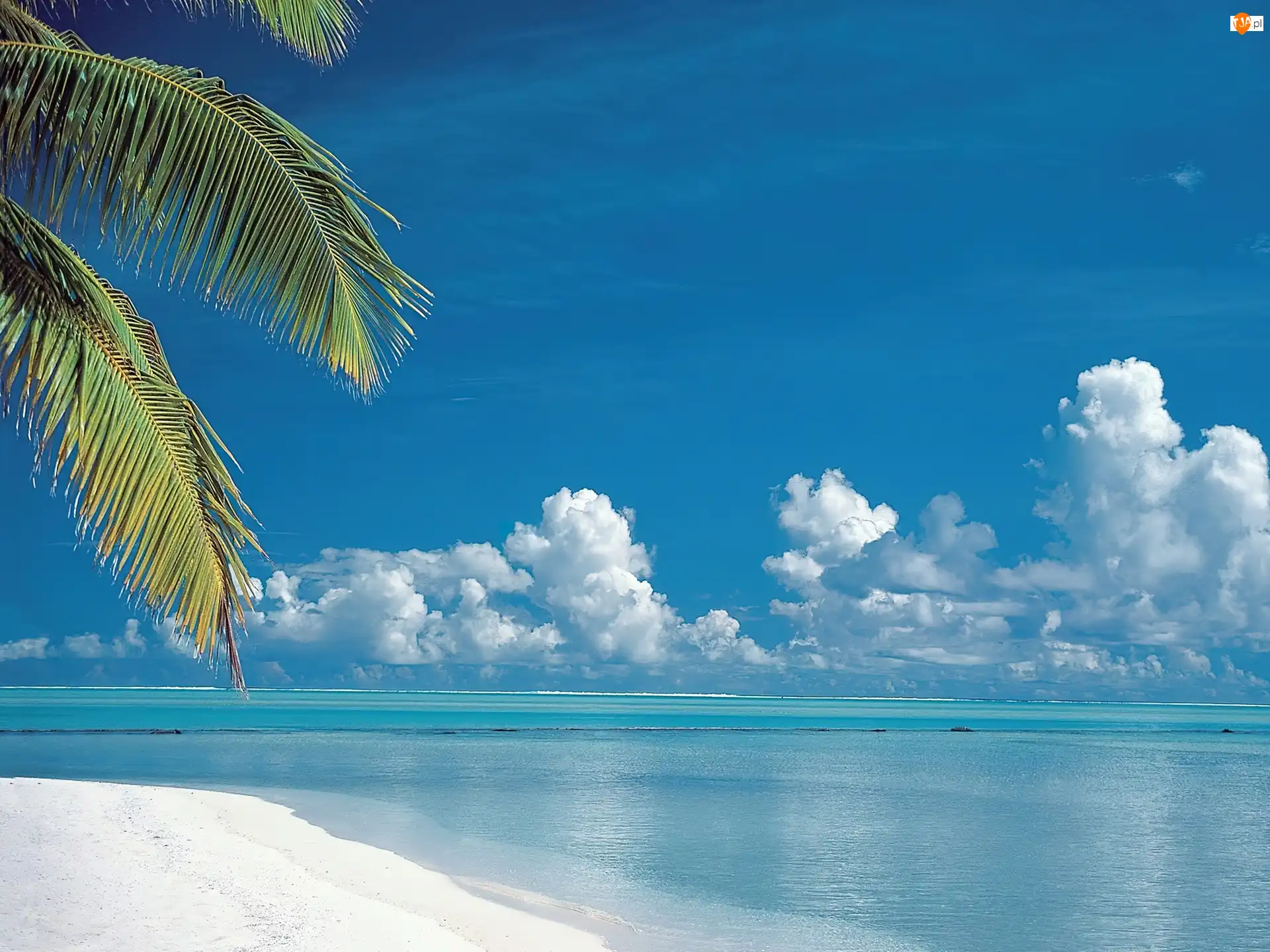 Liście, Chmury, Morze, Plaża, Palm