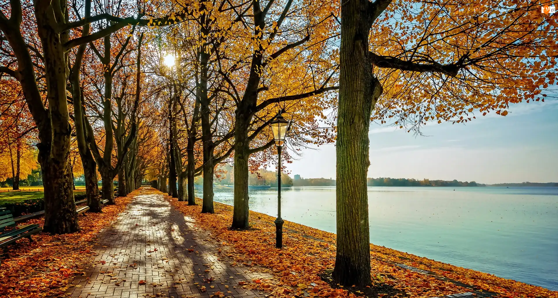 Latarnia, Jezioro, Park, Jesień, Drzewa