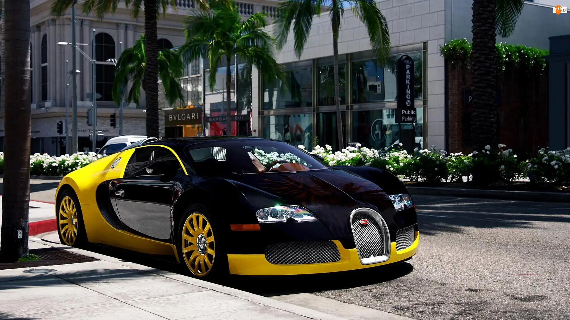 Ulica, Grafitowo Żółty, Bugatti Veyron, Miasto