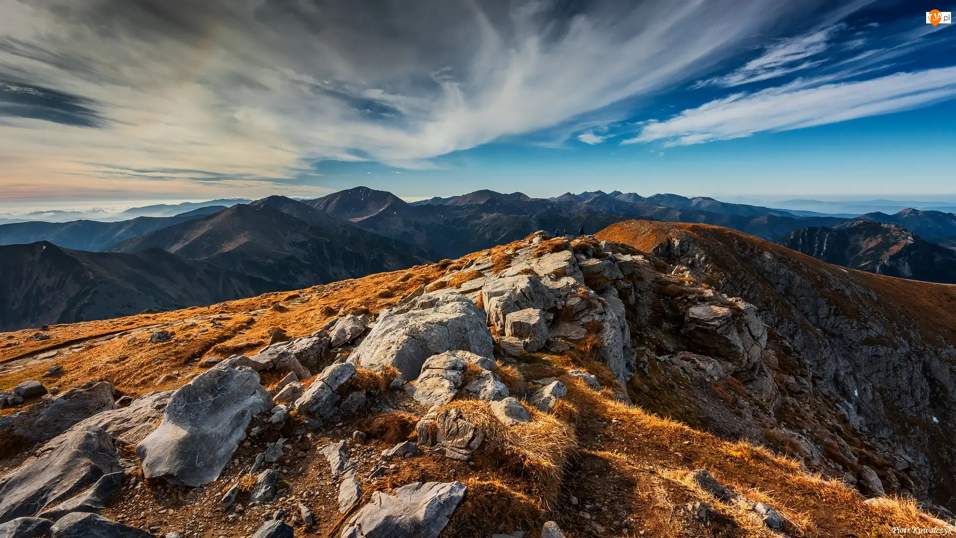 Tatry Zachodnie, Góry, Pożółkła, Polska, Skały, Trawa