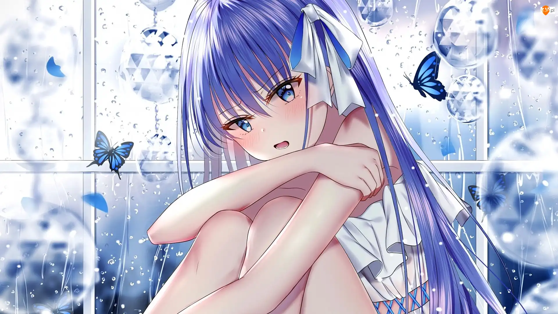 Dziewczyna, Manga Anime, Kokarda, Motyle, Niebieskie włosy, Okno