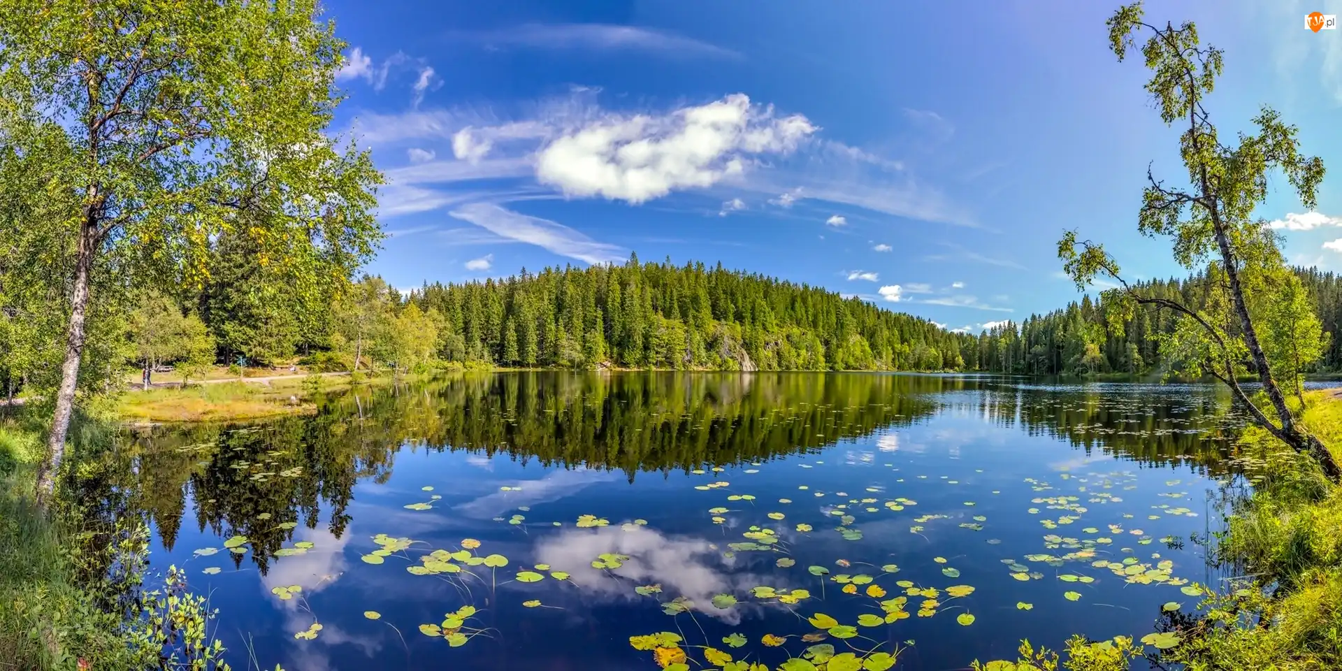 Norwegia, Jezioro, Las