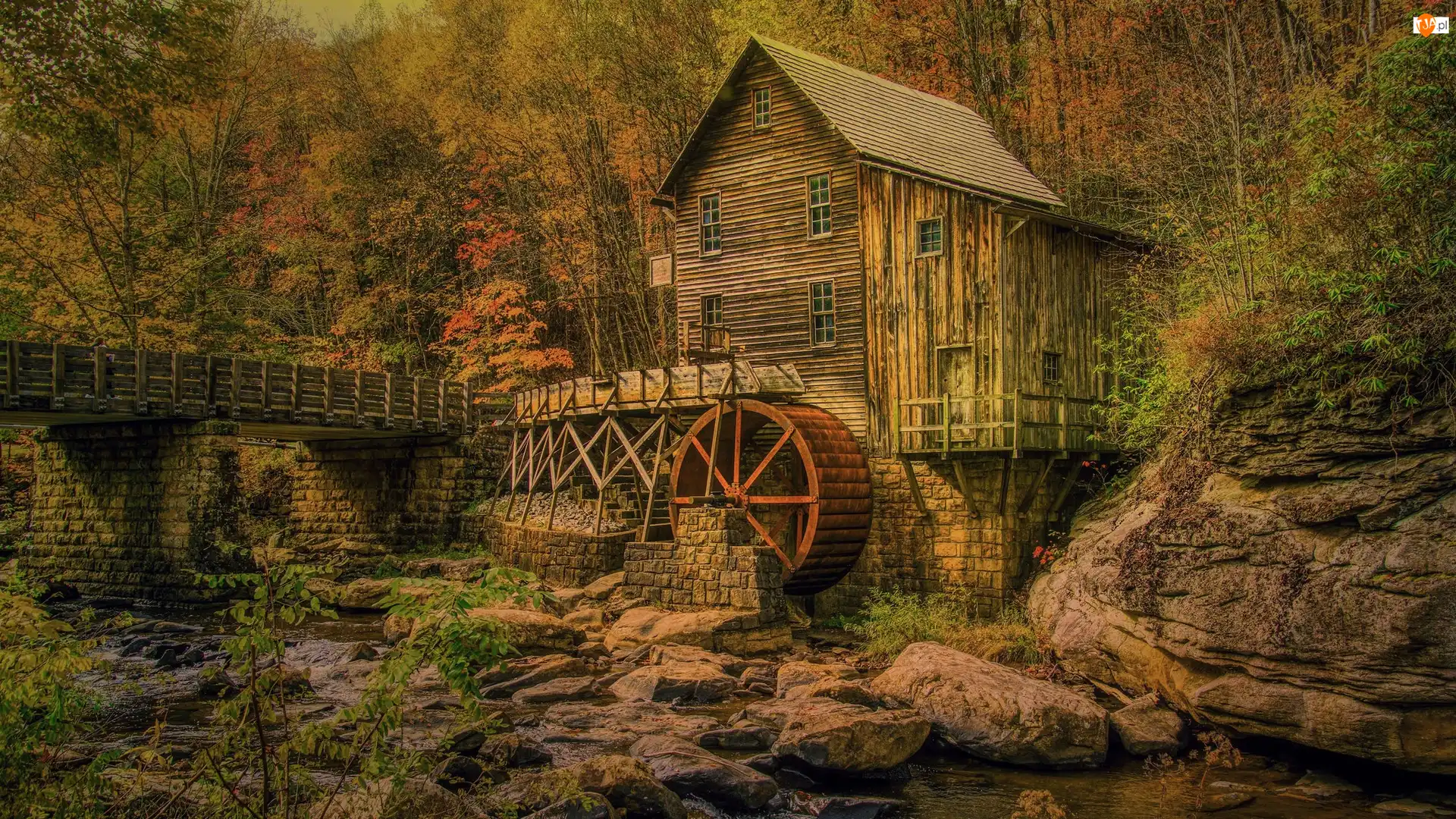 Stany Zjednoczone, Młyn, Wirginia Zachodnia, Skały, Park Babcock State, Glade Creek Grist Mill, Las, Jesień, Drzewa