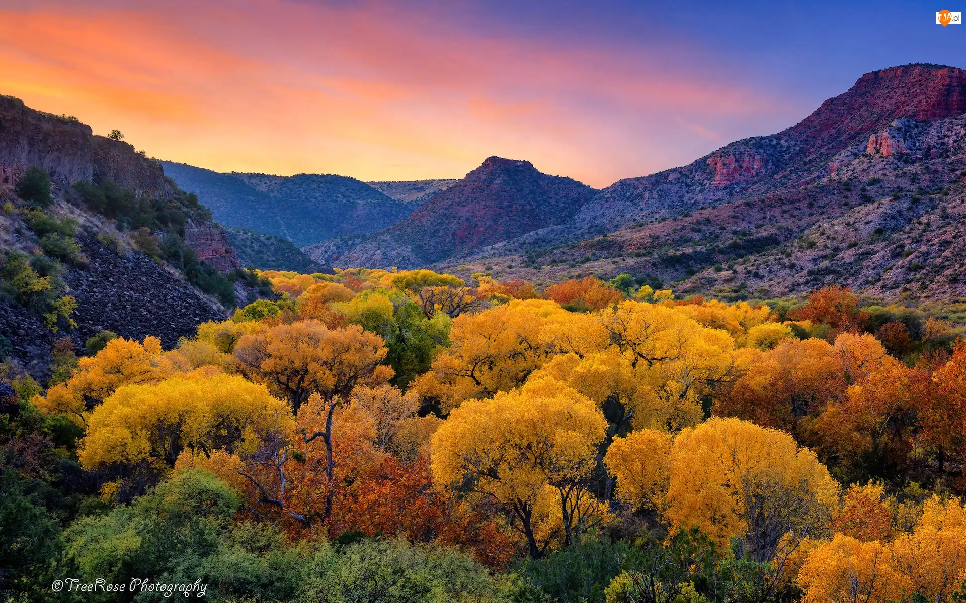 Drzewa, Jesień, Kanion Sycamore, Stany Zjednoczone, Góry, Arizona