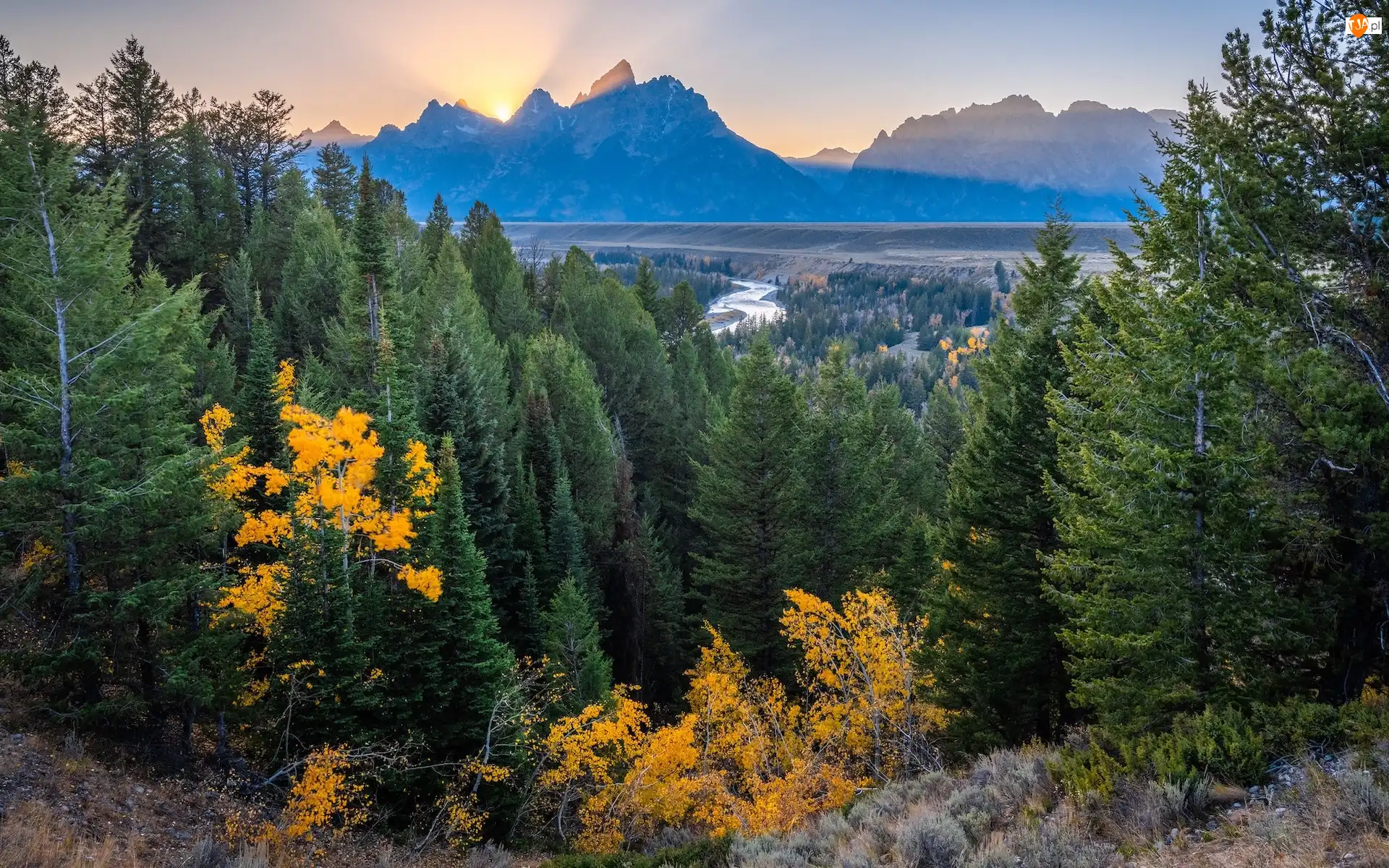 Park Narodowy Grand Teton, Góry, Snake River, Stan Wyoming, Teton Range, Drzewa, Stany Zjednoczone, Rzeka