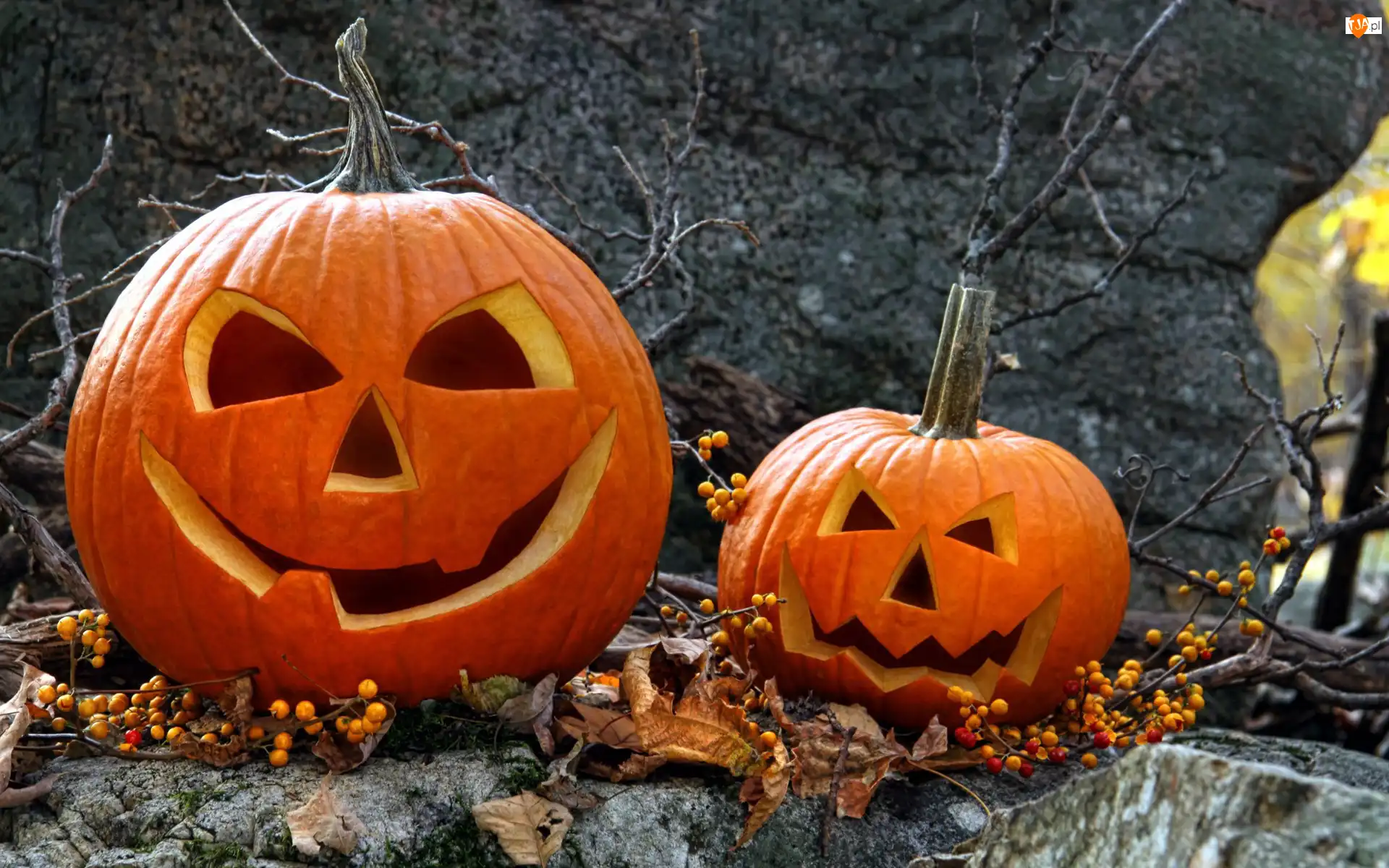 Liście, Halloween, Dynie, Gałązki