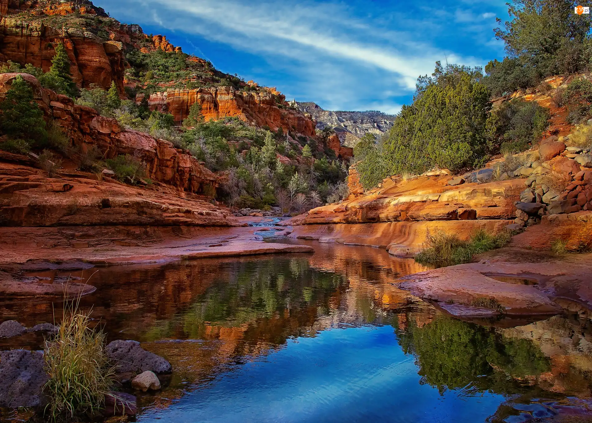 Stan Arizona, Park stanowy Slide Rock, Drzewa, Stany Zjednoczone, Skały, Rzeka, Kanion