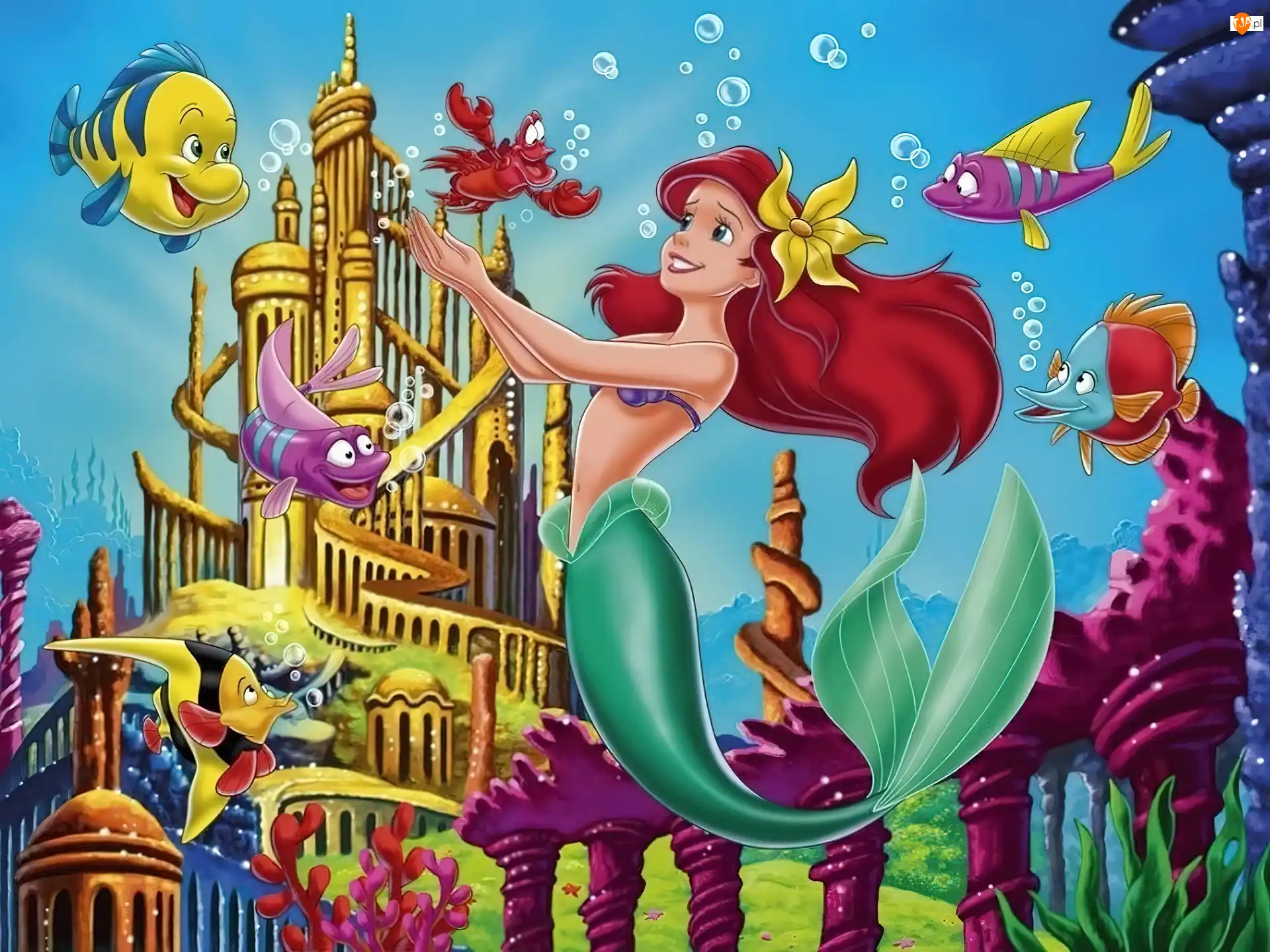 Ariel, Mała Syrenka, The Little Mermaid