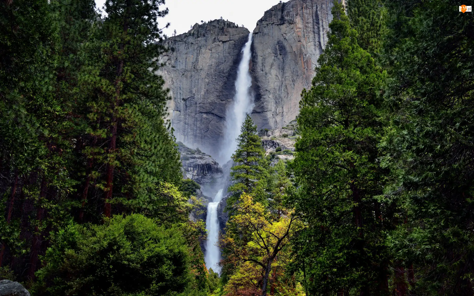 Park Narodowy Yosemite, Góry, Wodospad, Kalifornia, Drzewa, Upper Yosemite Falls, Stany Zjednoczone, Skały