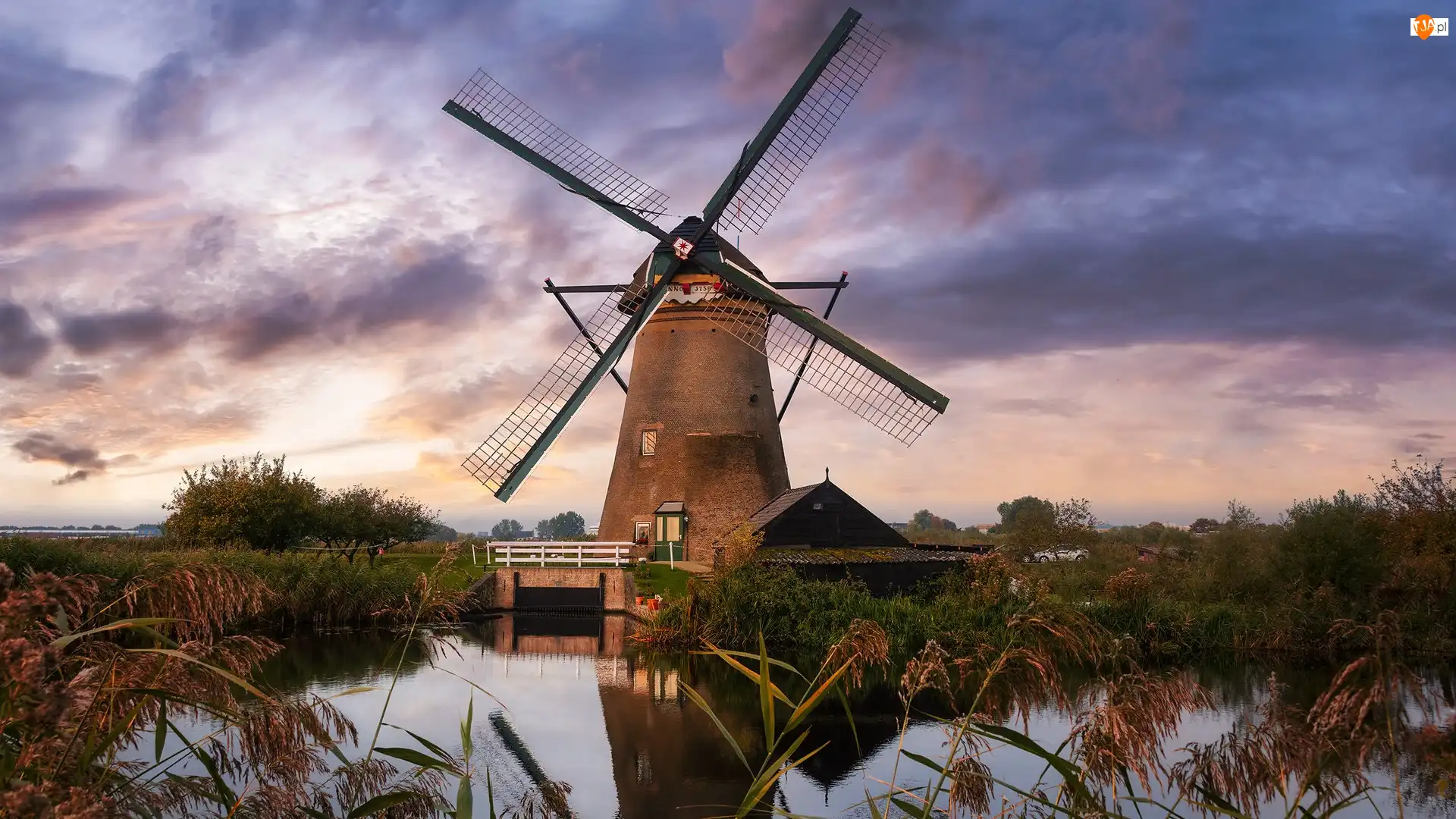 Rzeka, Wiatrak, Rośliny, Holandia, Most, Kinderdijk