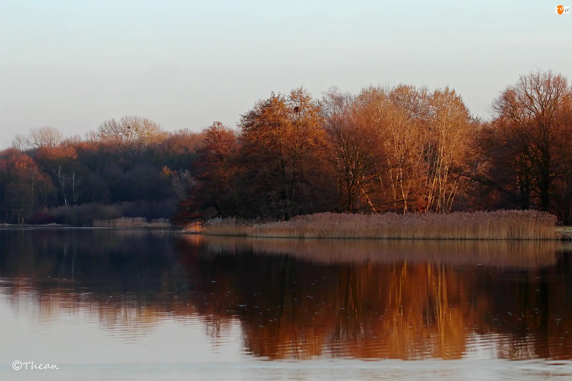 Przedwiośnie, Jezioro, Drzewa