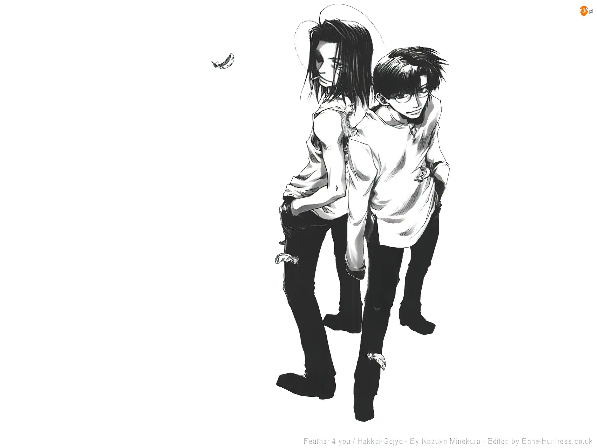 pióra, Saiyuki, ciemne włosy