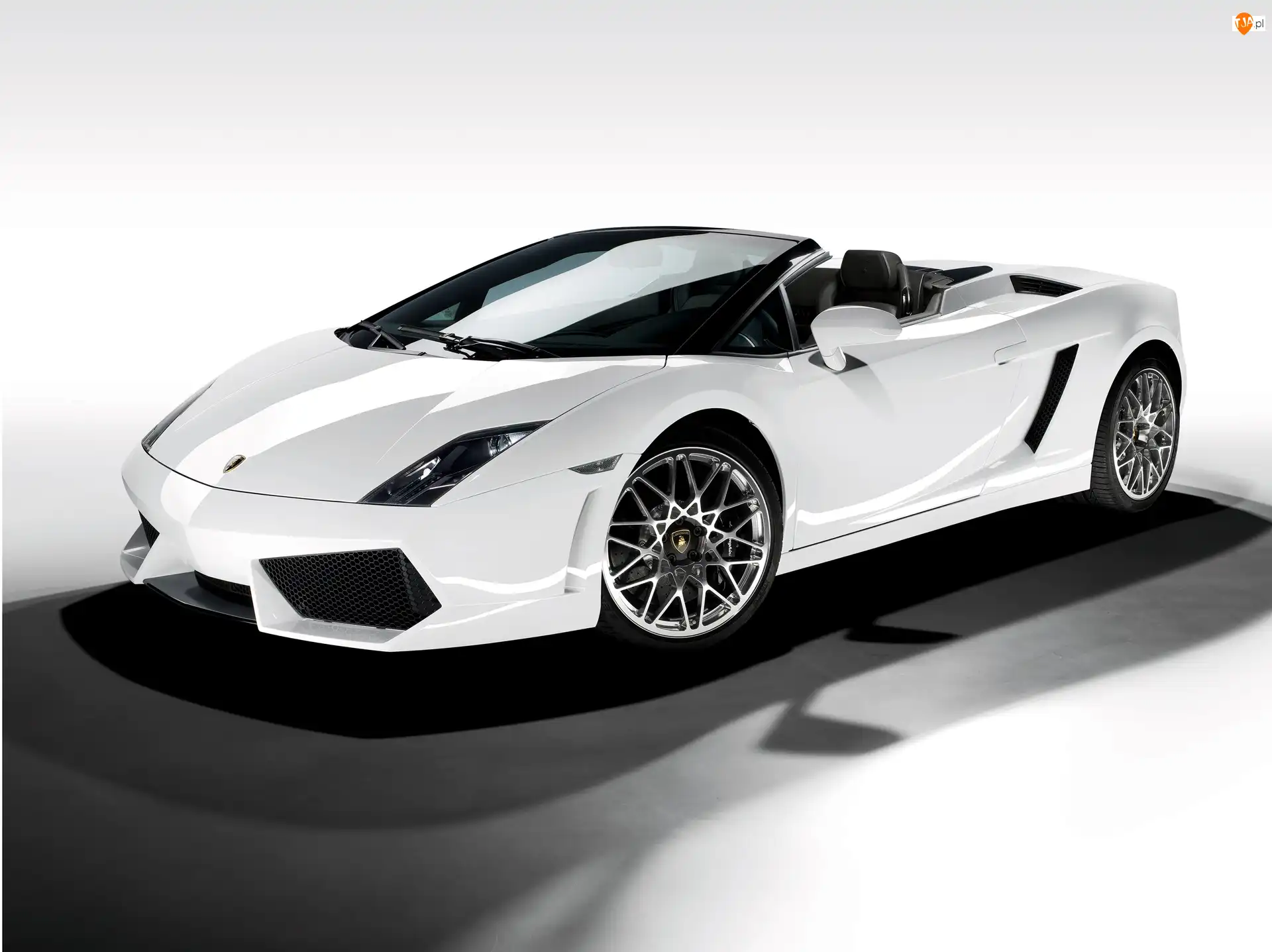 Kabriolet, Białe, Lamborghini Gallardo