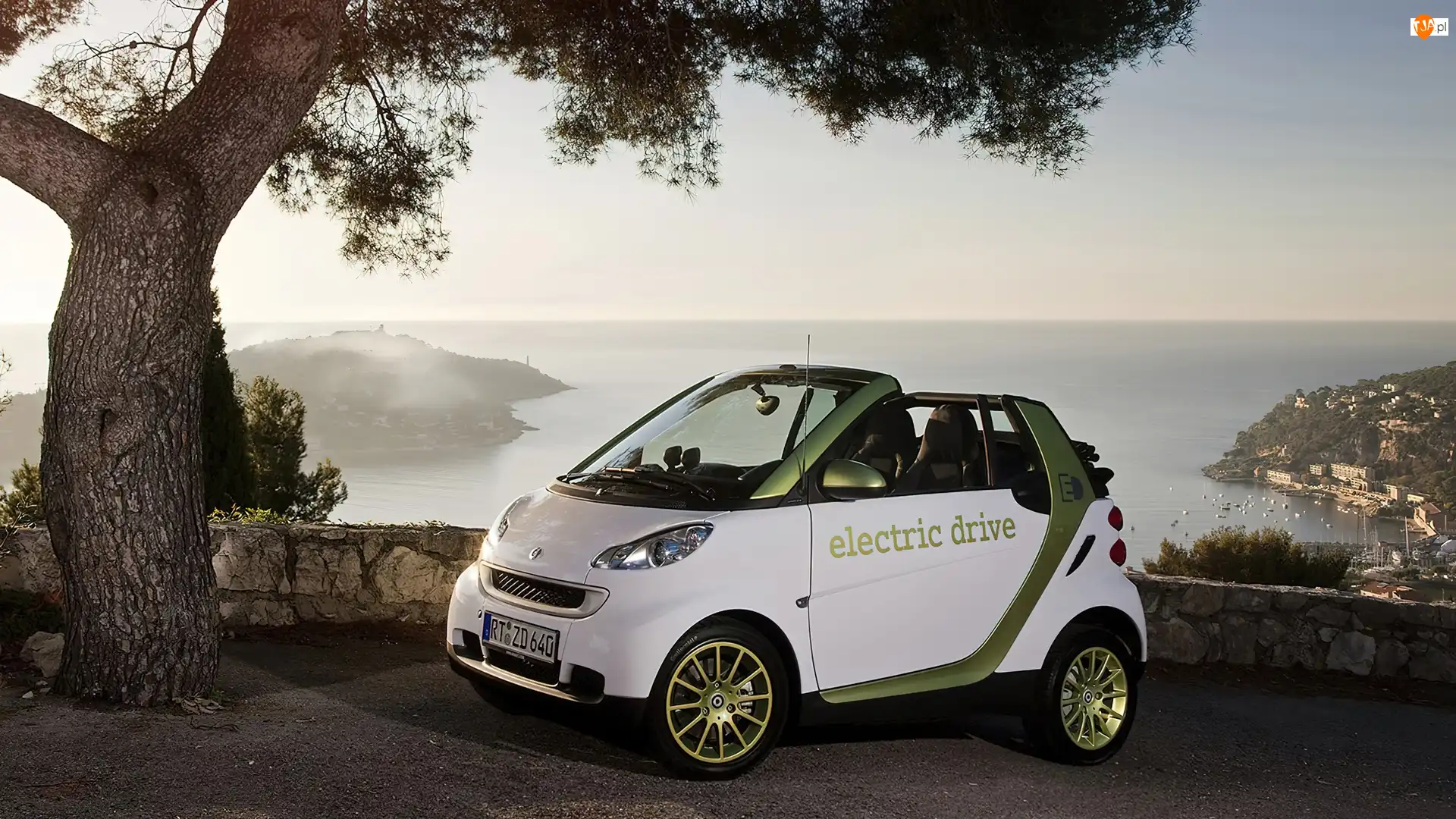 Smart, Samochód, Drzewo, Skały, Fortwo, Morze
