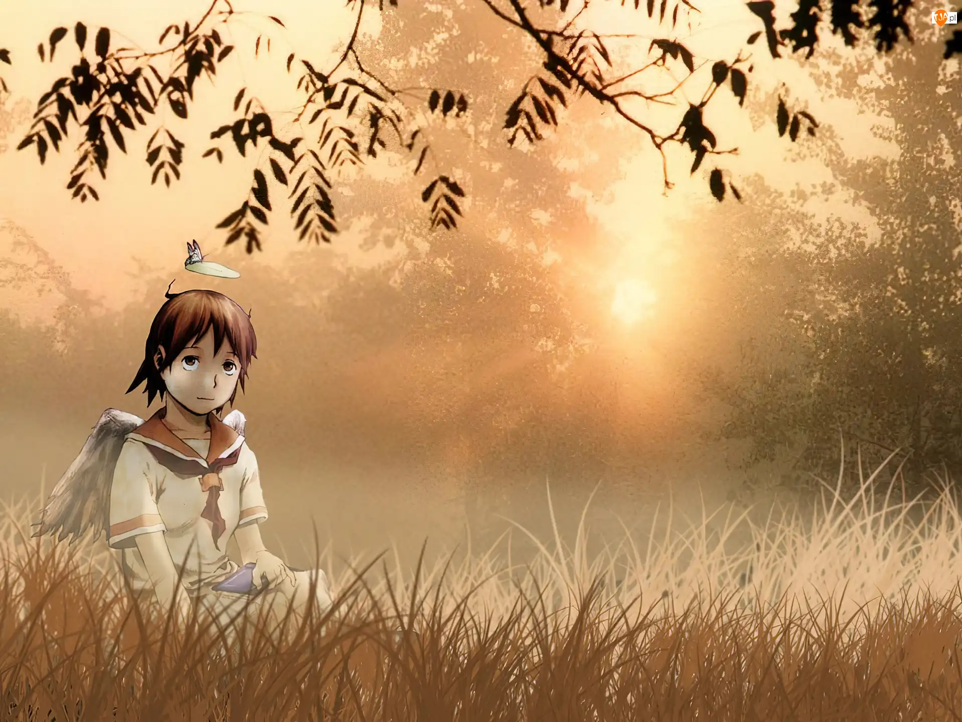 polana, Haibane Renmei, człowiek