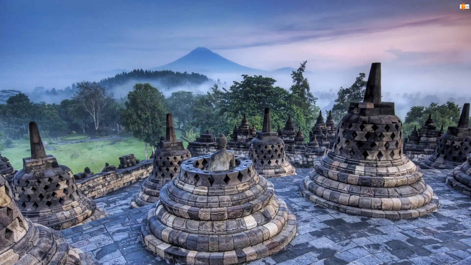 Pałac, Borobudur, Mgła, Indonezja, Góra, Dżungla, Posągi