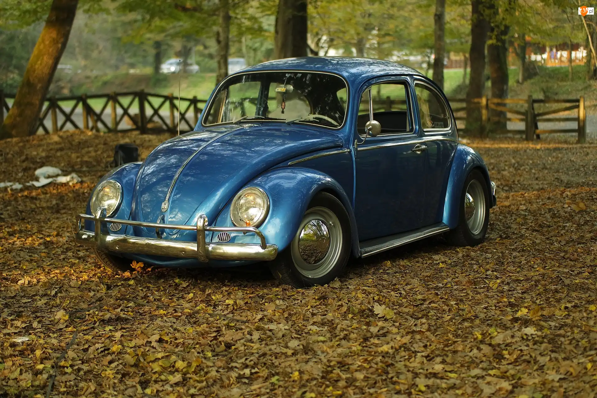 Park, Volkswagen Beetle, Garbus