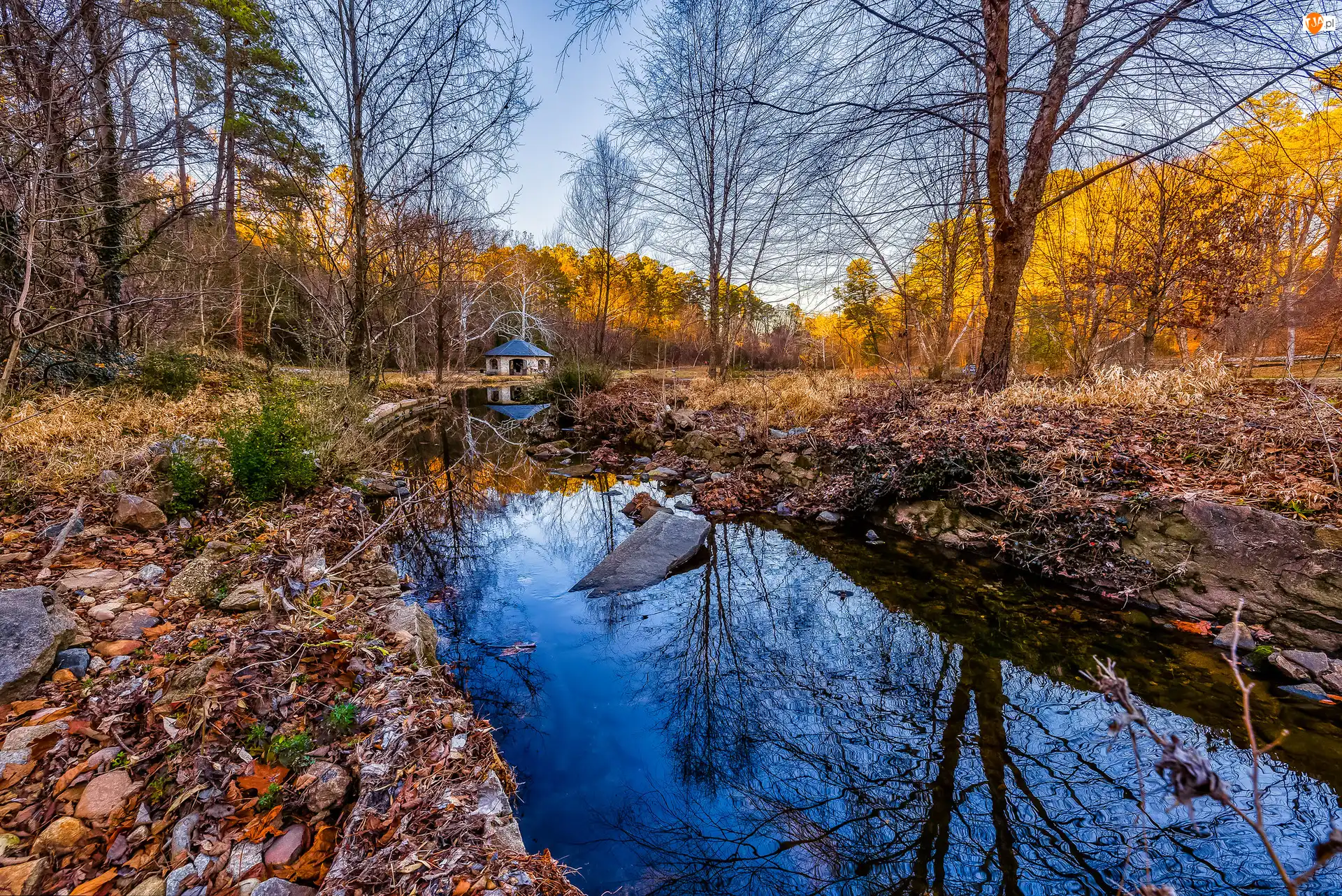Rzeka, Jesień, Pożółkłe, Drzewa, Domek, Trawy