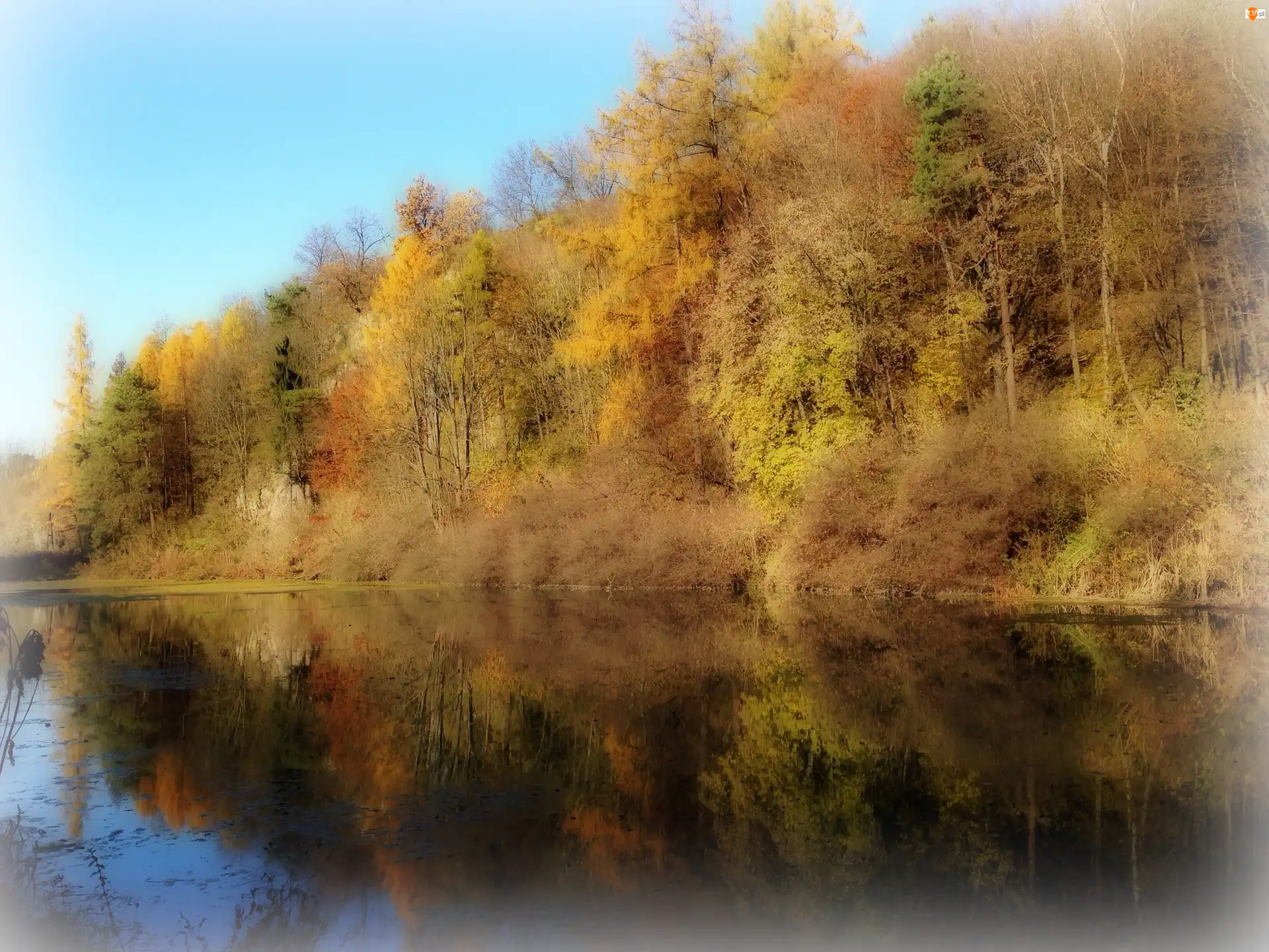 Kolorowe, Odbicie, Jesień, Jezioro, Drzewa
