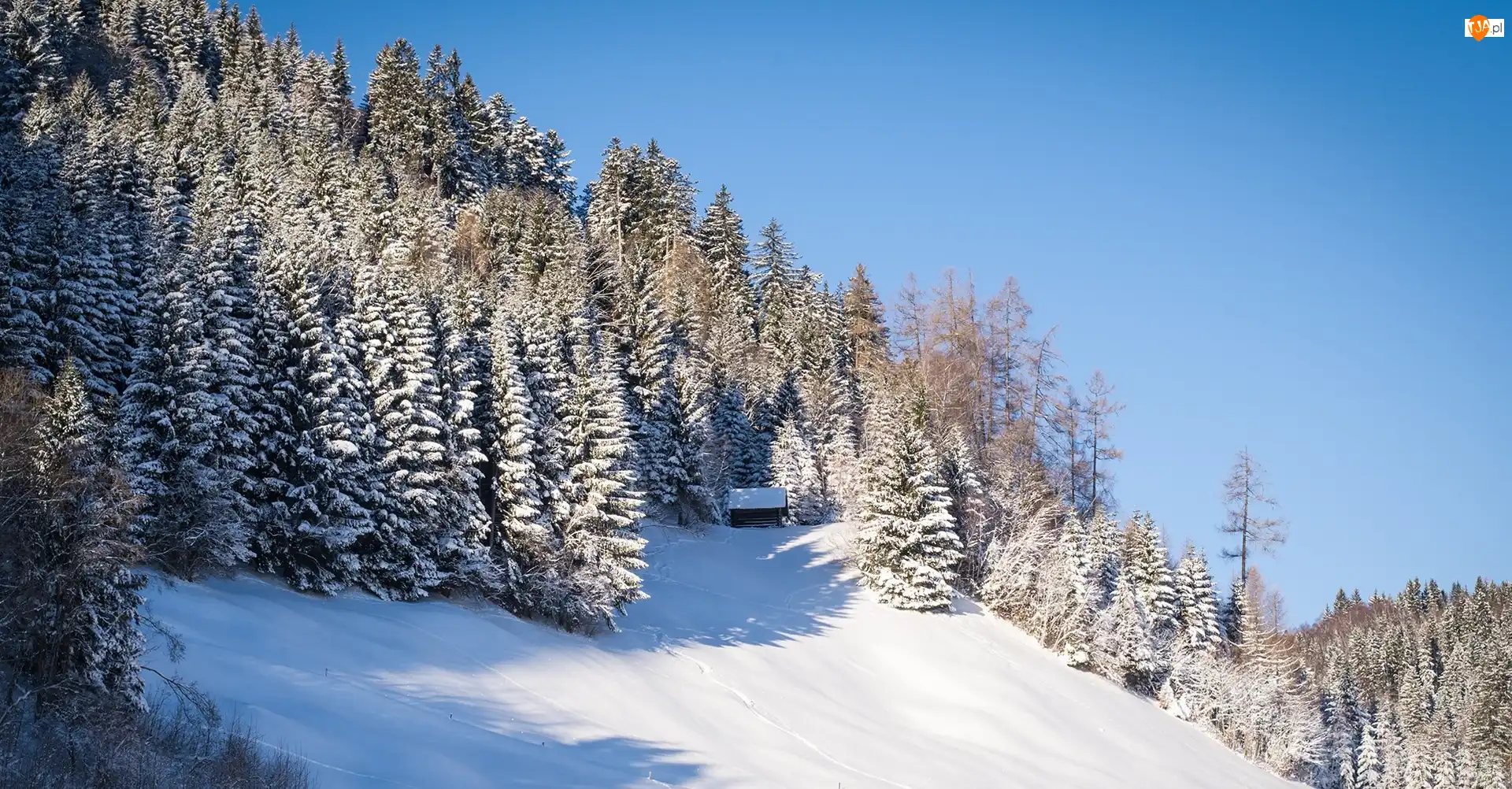 Domek, Zima, Wzgórze, Las