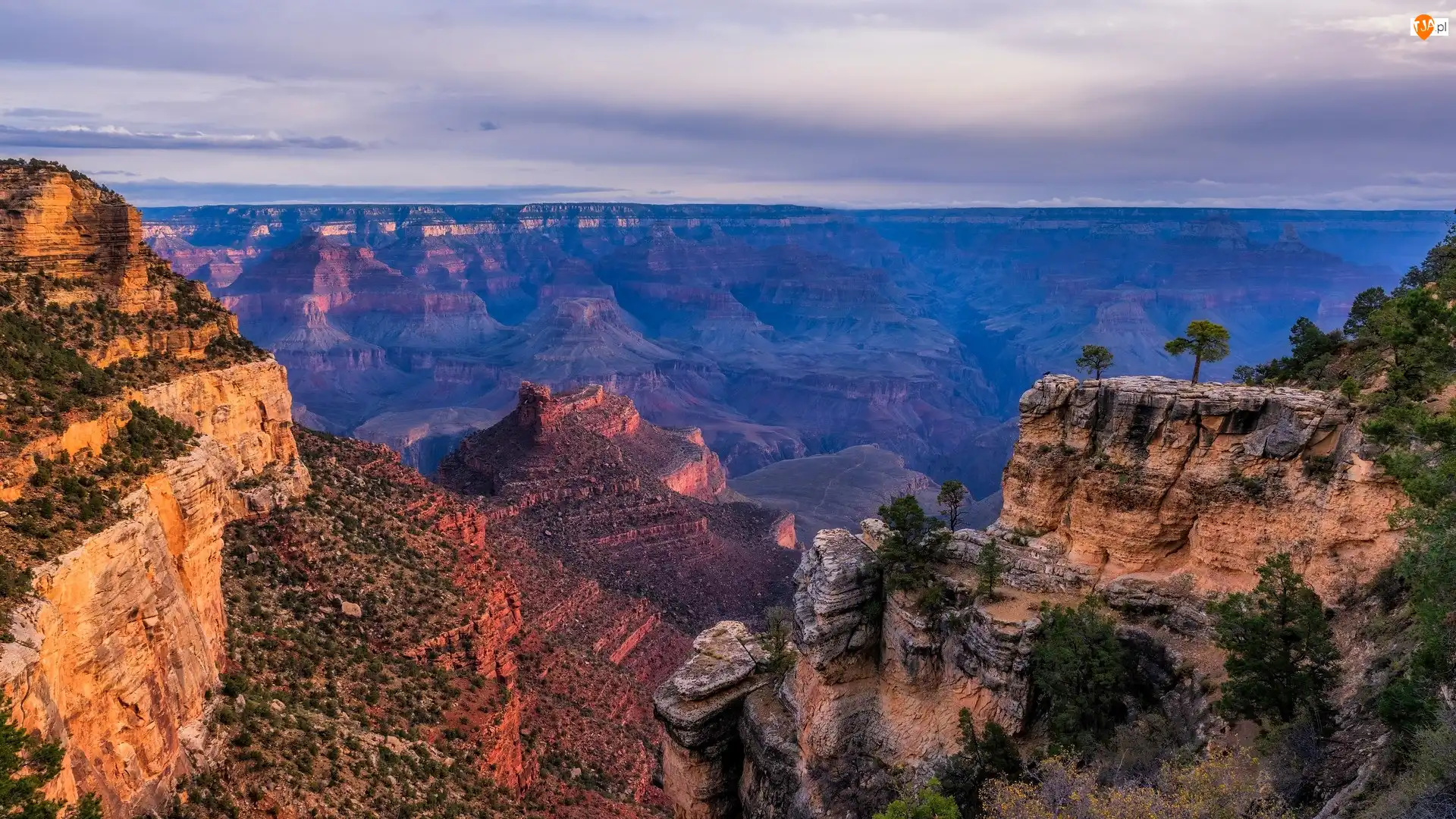 Park Narodowy Wielkiego Kanionu, Góry, Kanion, Arizona, Skały, Grand Canyon, Stany Zjednoczone, Drzewa