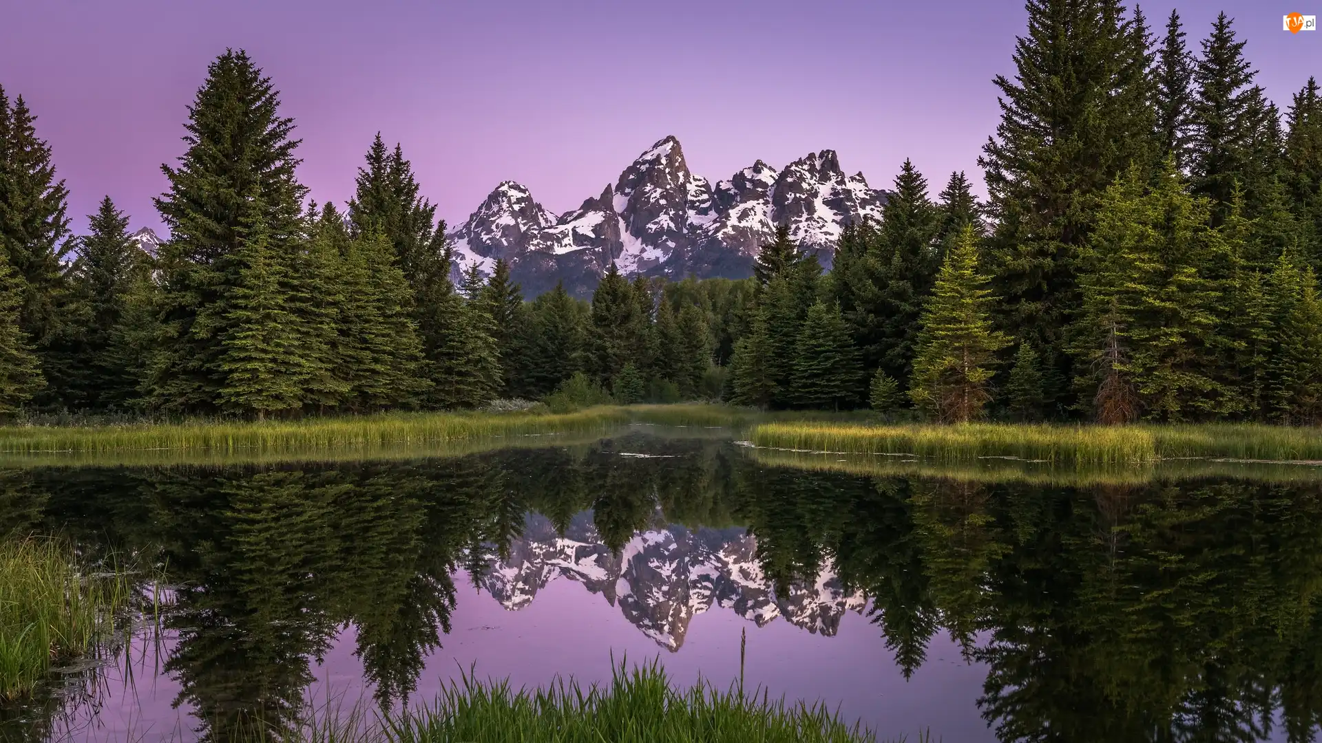 Stany Zjednoczone, Rzeka Snake River, Stan Wyoming, Drzewa, Odbicie, Góry, Teton Range, Park Narodowy Grand Teton, Las