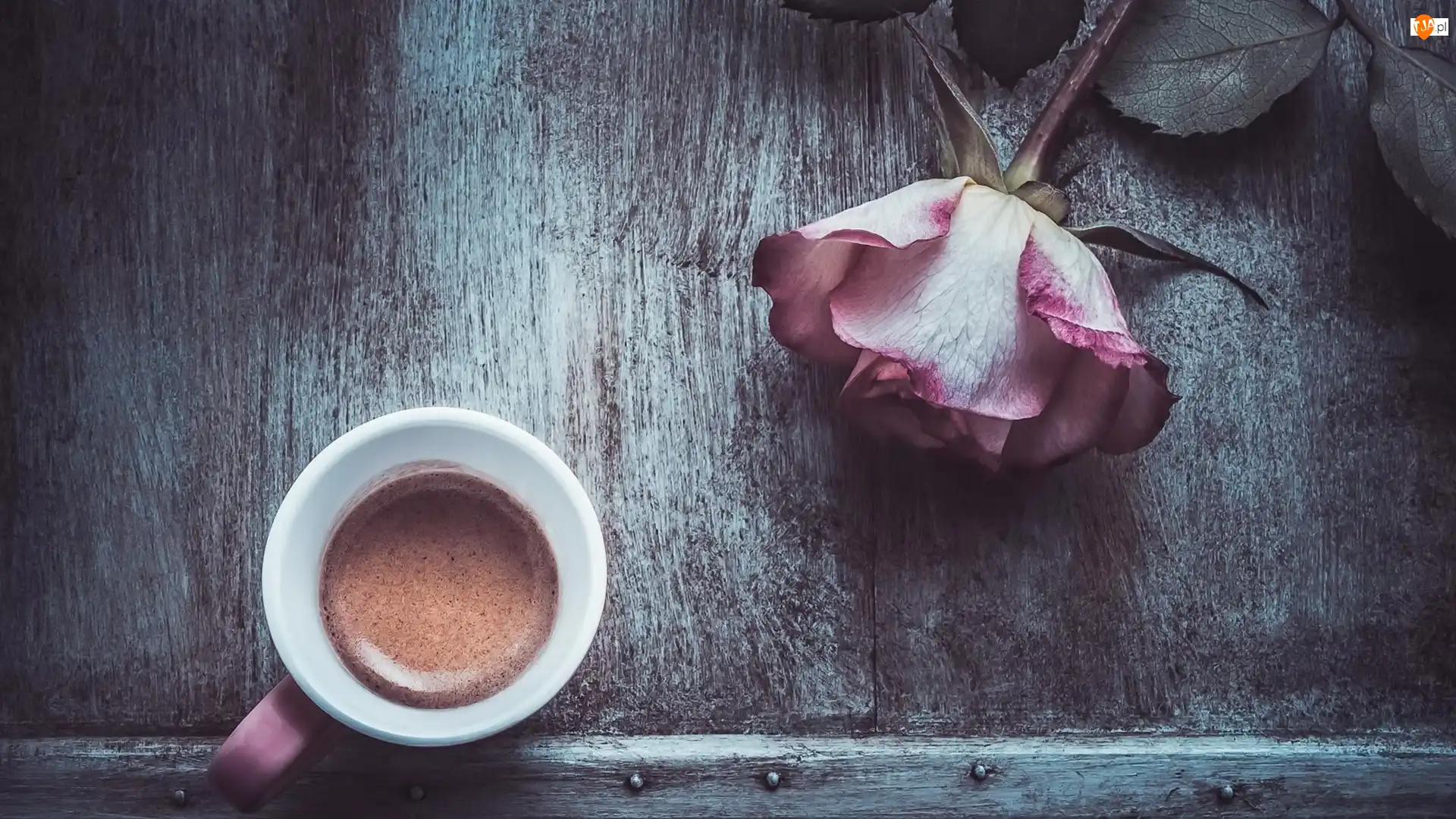 Róża, Vintage, Filiżanka, Kawa, Deski