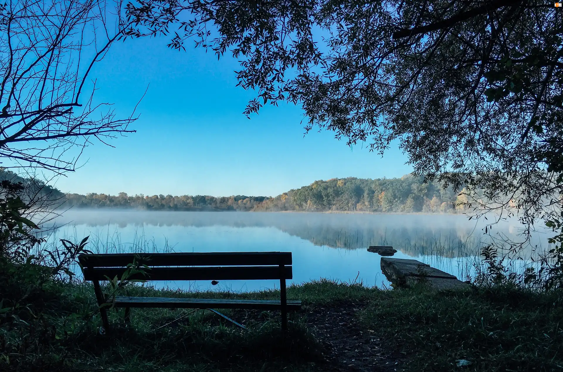Słońca, Zachód, Ławka, Drzewa, Jezioro, Mgła