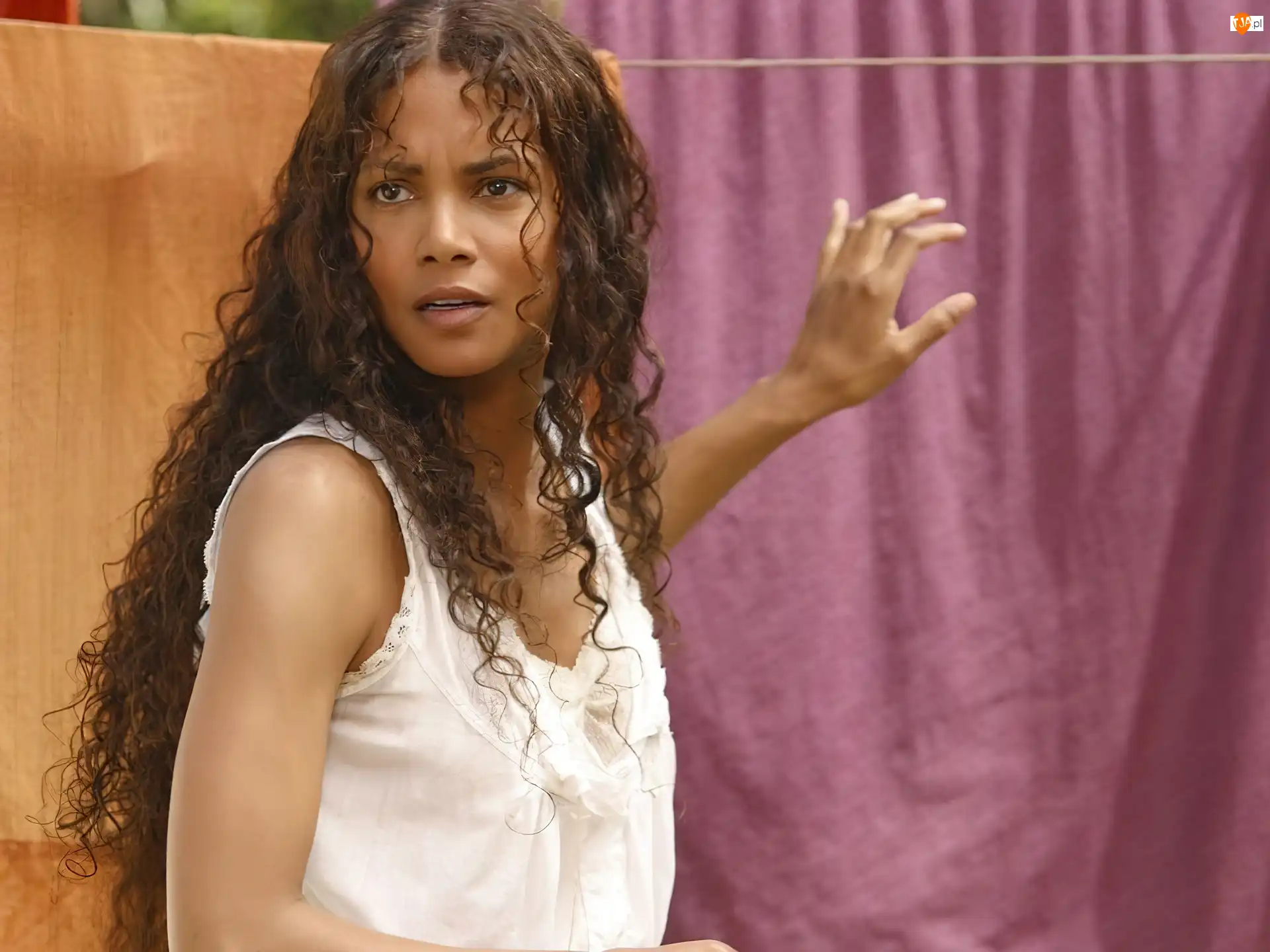 włosy, pranie, kręcone, długie, Halle Berry