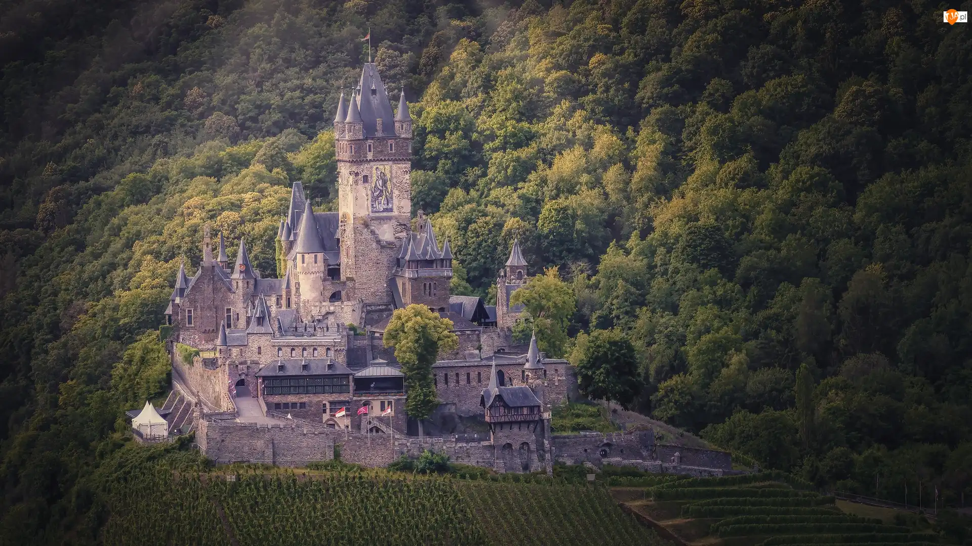 Niemcy, Zamek Reichsburg, Las, Gmina Cochem