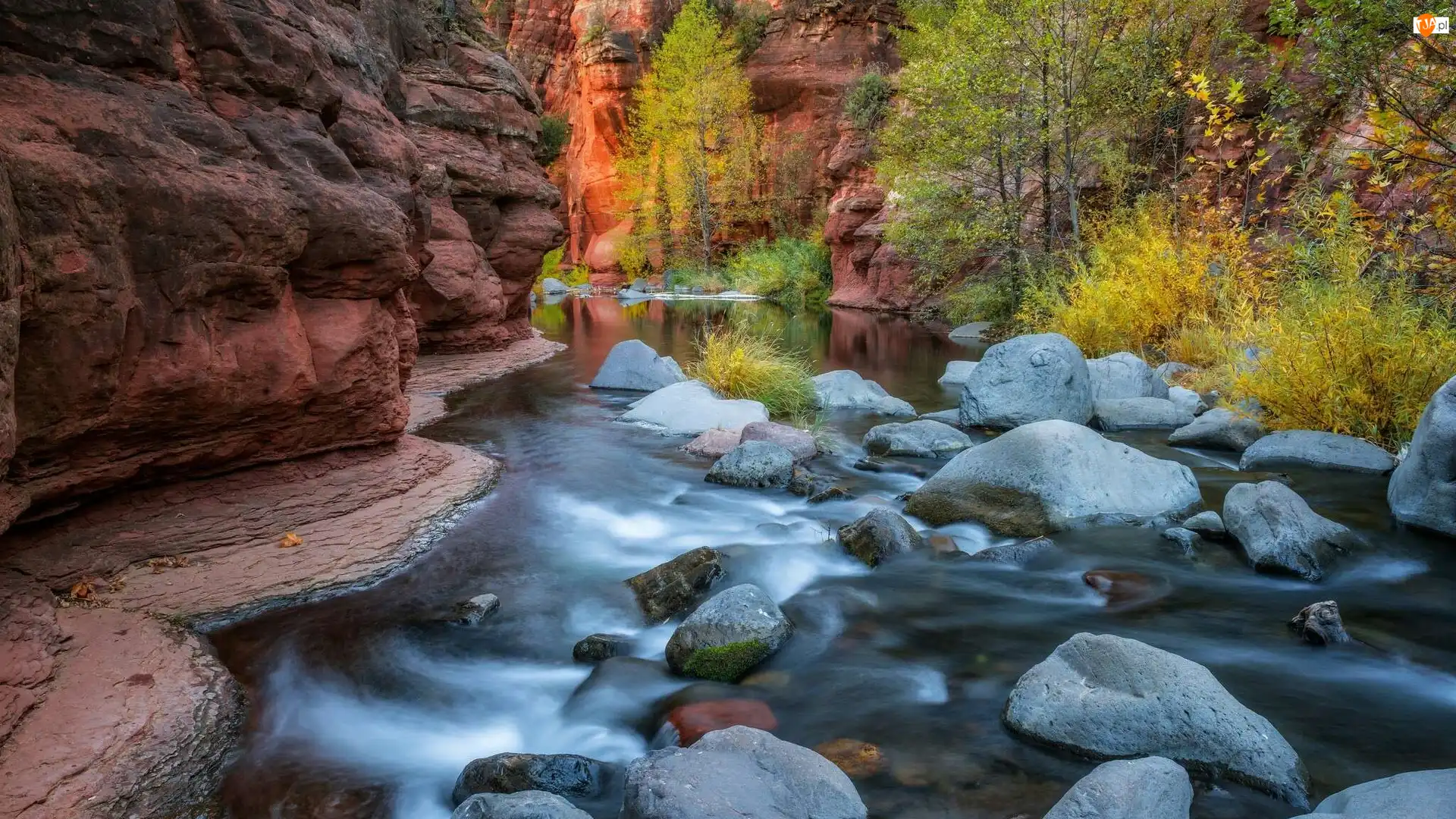 Skały, Stany Zjednoczone, Wąwóz Oak Creek Canyon, Kamienie, Arizona, Rzeka Oak Creek, Drzewa, Sedona