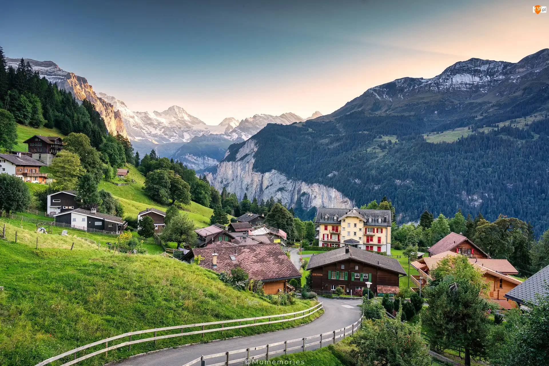 Droga, Góry, Domy, Wieś, Wengen, Alpy, Las, Szwajcaria, Drzewa