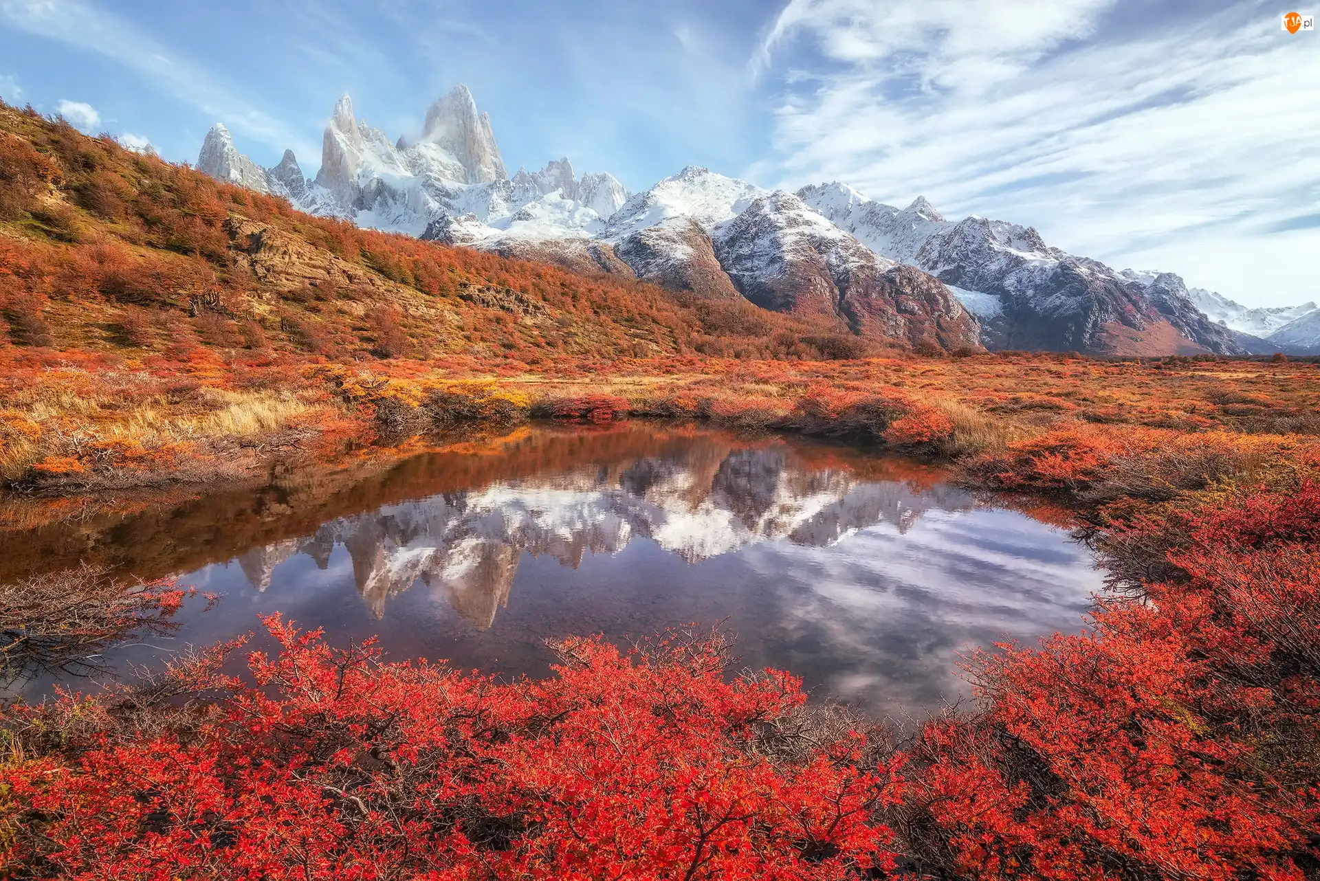 Jesień, Patagonia, Roślinność, Szczyt Fitz Roy, Kolorowa, Kałuża, Odbicie, Argentyna, Góry Andy