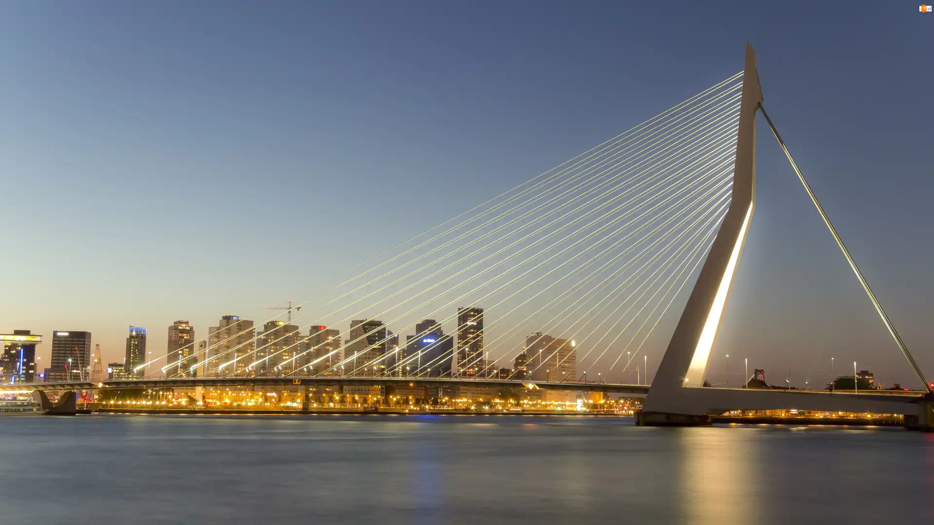 Erasmus Bridge, Most, Rotterdam, Holandia