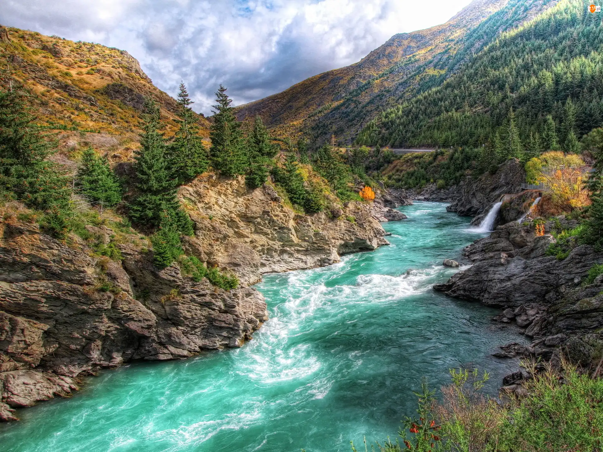 Góry, Skały, Rzeka Kawarau, Nowa Zelandia, Las