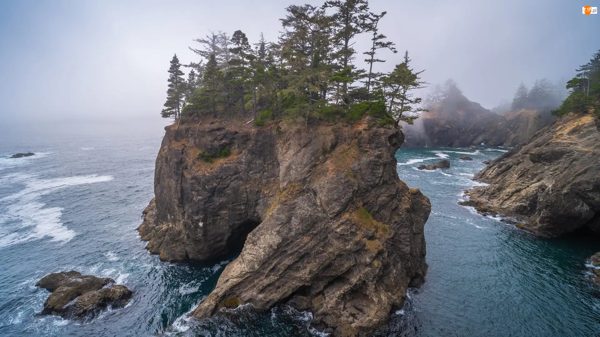Samuel H Boardman State Scenic Corridor, Oregon, Park stanowy, Wysepka, Mgła, Morze, Skały, Stany Zjednoczone, Drzewa