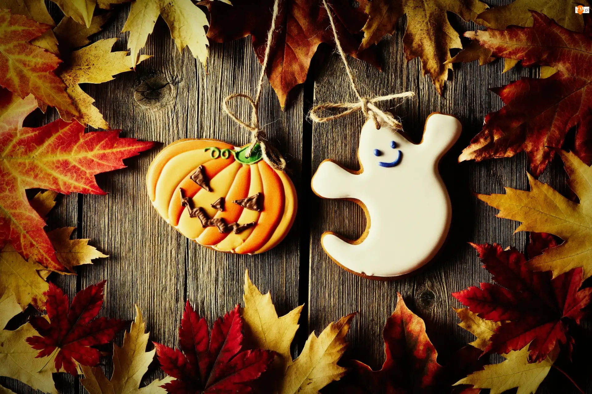 Liście, Jesień, Halloween