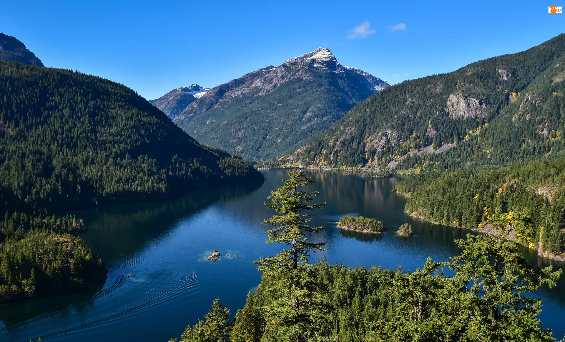 Stan Waszyngton, Stany Zjednoczone, Góry, Drzewa, Park Narodowy Północnych Gór Kaskadowych, Jezioro Diablo Lake