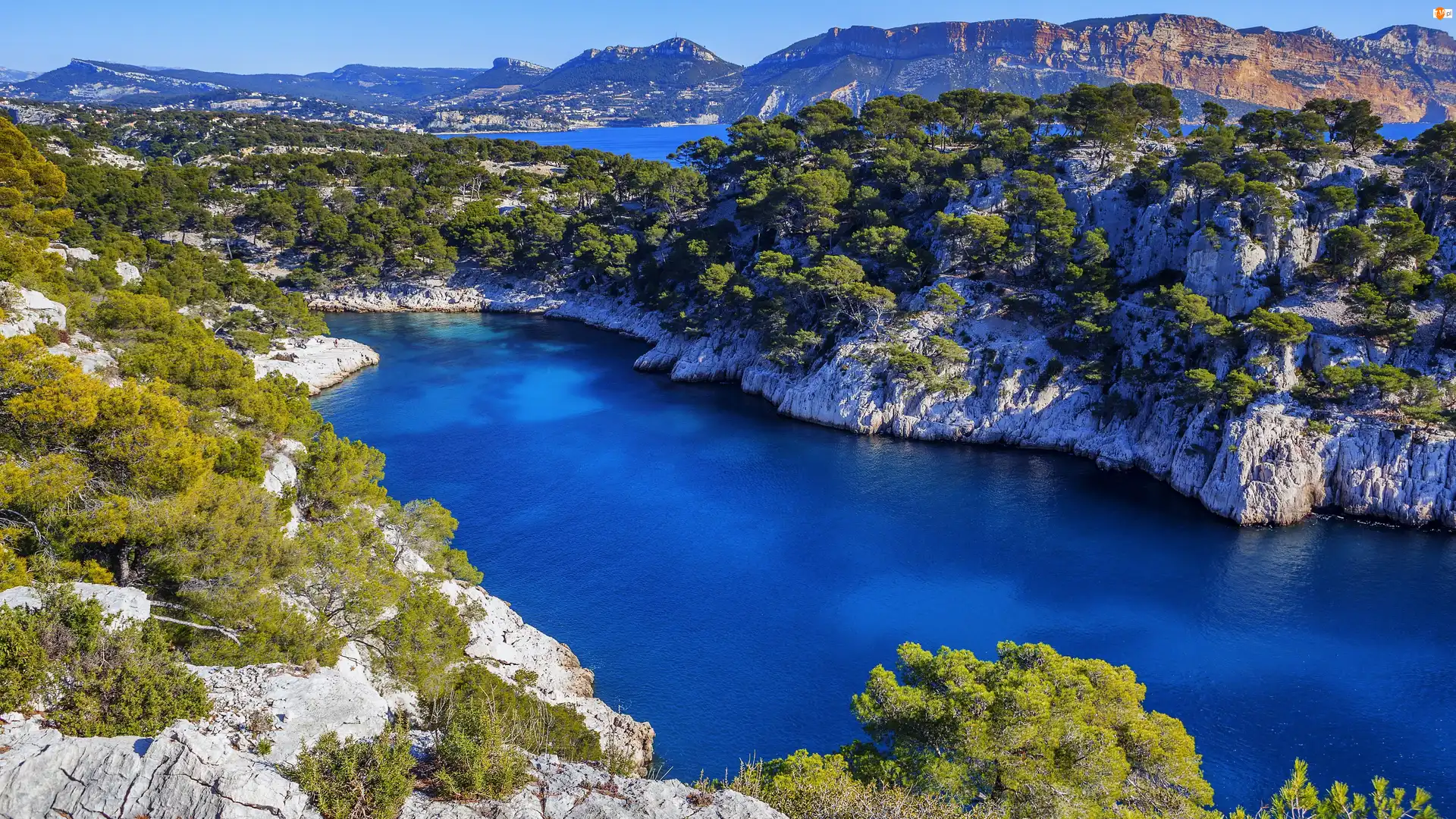 Góry, Skały, Francja, Drzewa, Cassis, Calanque de Port Miou, Zatoka
