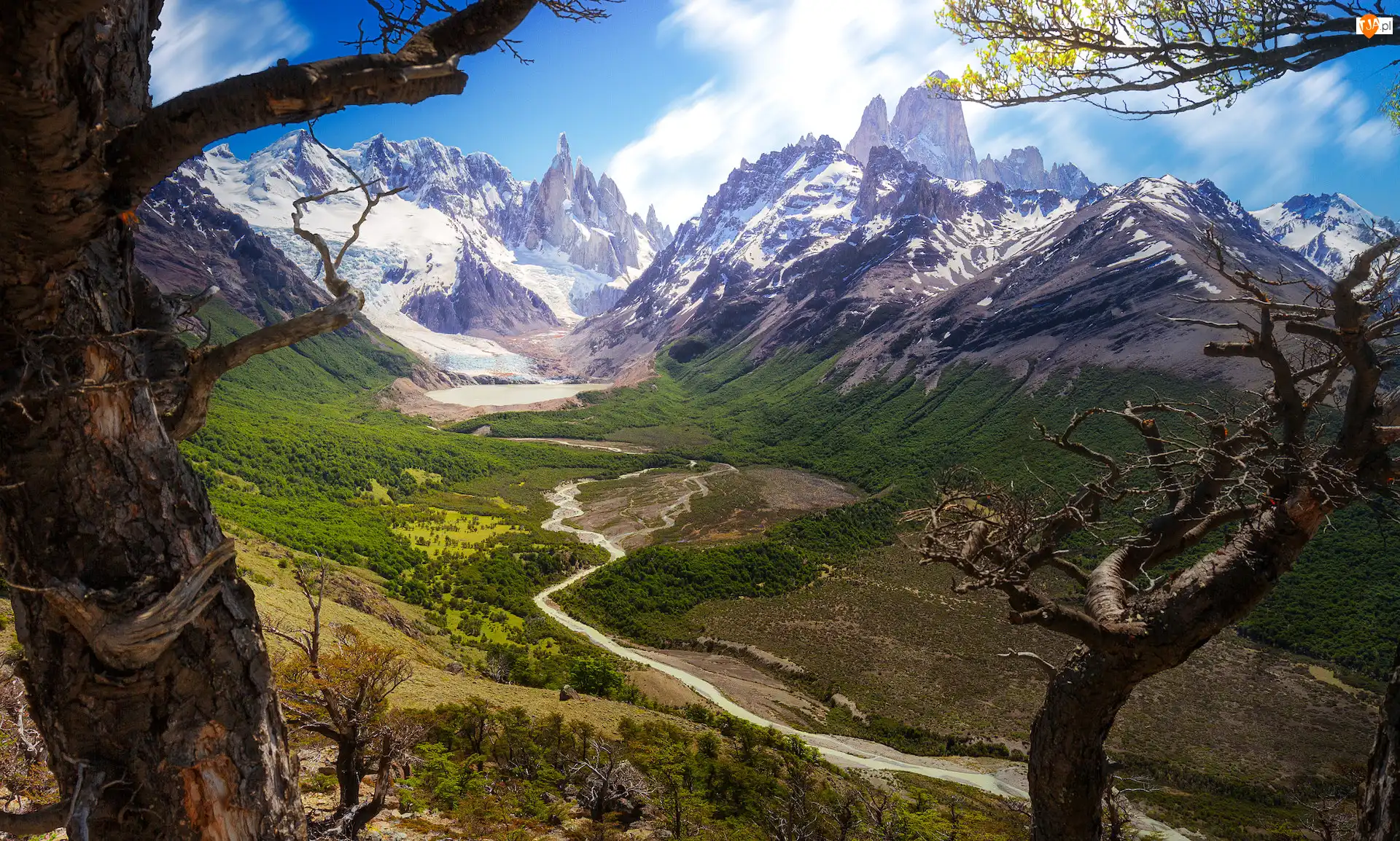 Patagonia, Argentyna, Ośnieżone, Drzewa, Góry, Fitz Roy