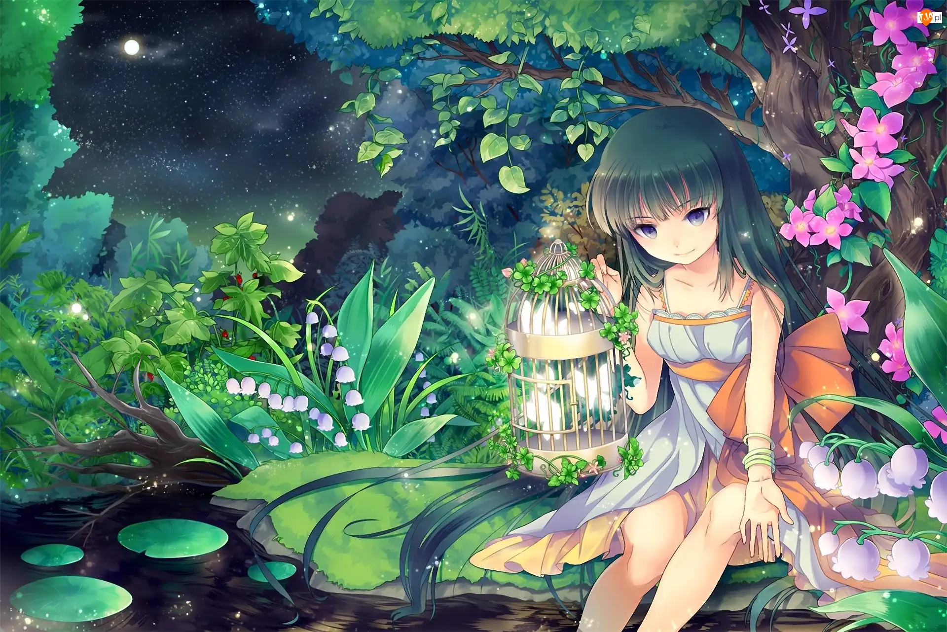 Manga, Dziewczyna, Klatka, Anime, Las, Motyle, Fantasy, Kwiaty